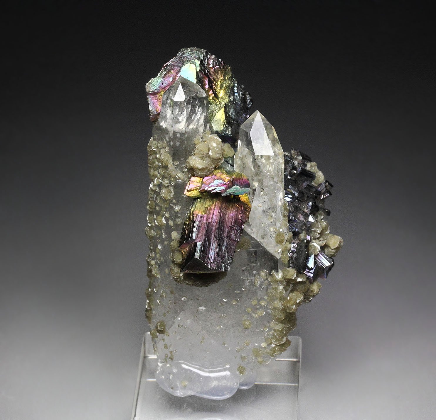 iridescent ARSENOPYRITE, QUARTZ, MUSCOVITE