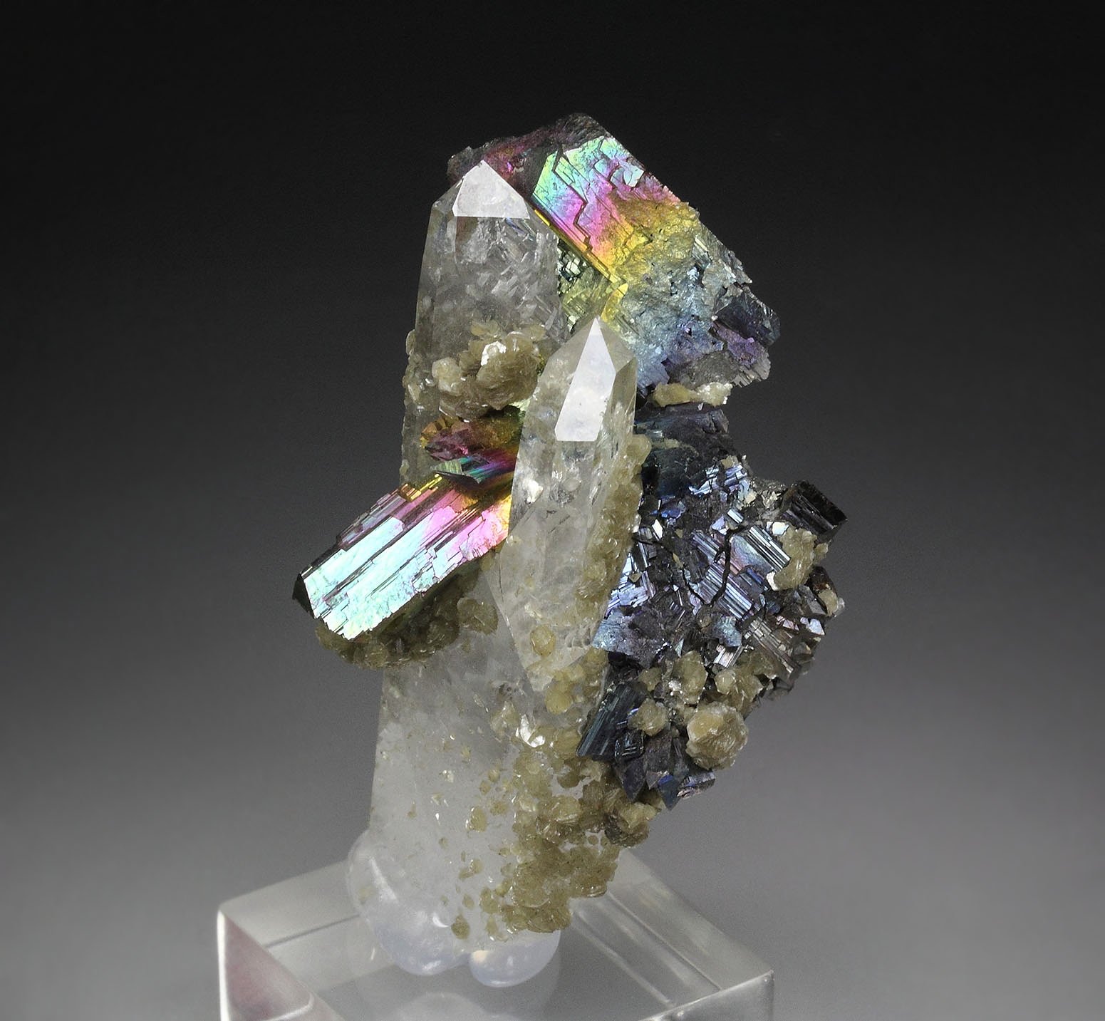 iridescent ARSENOPYRITE, QUARTZ, MUSCOVITE