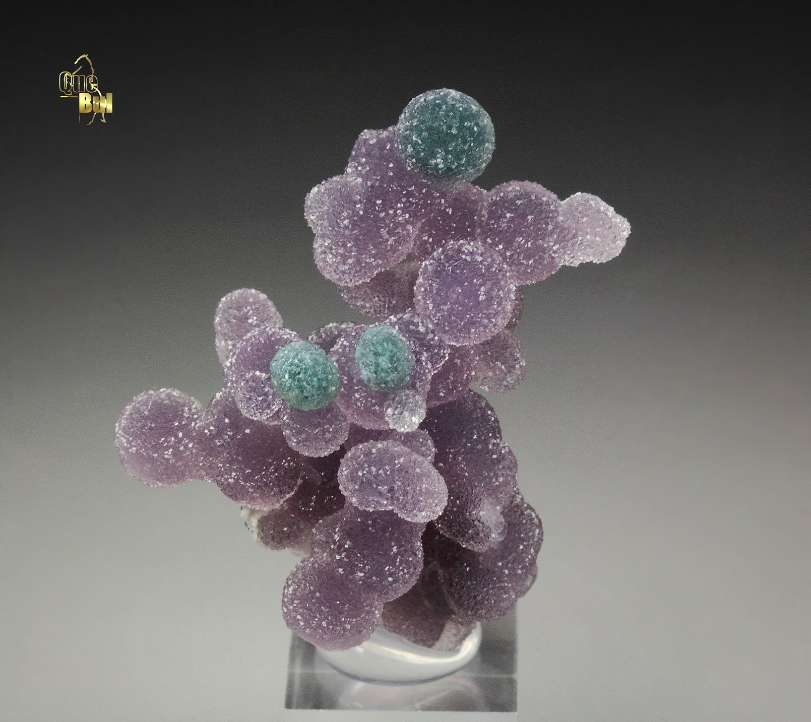 QUARTZ var. AMETHYST - grape agate