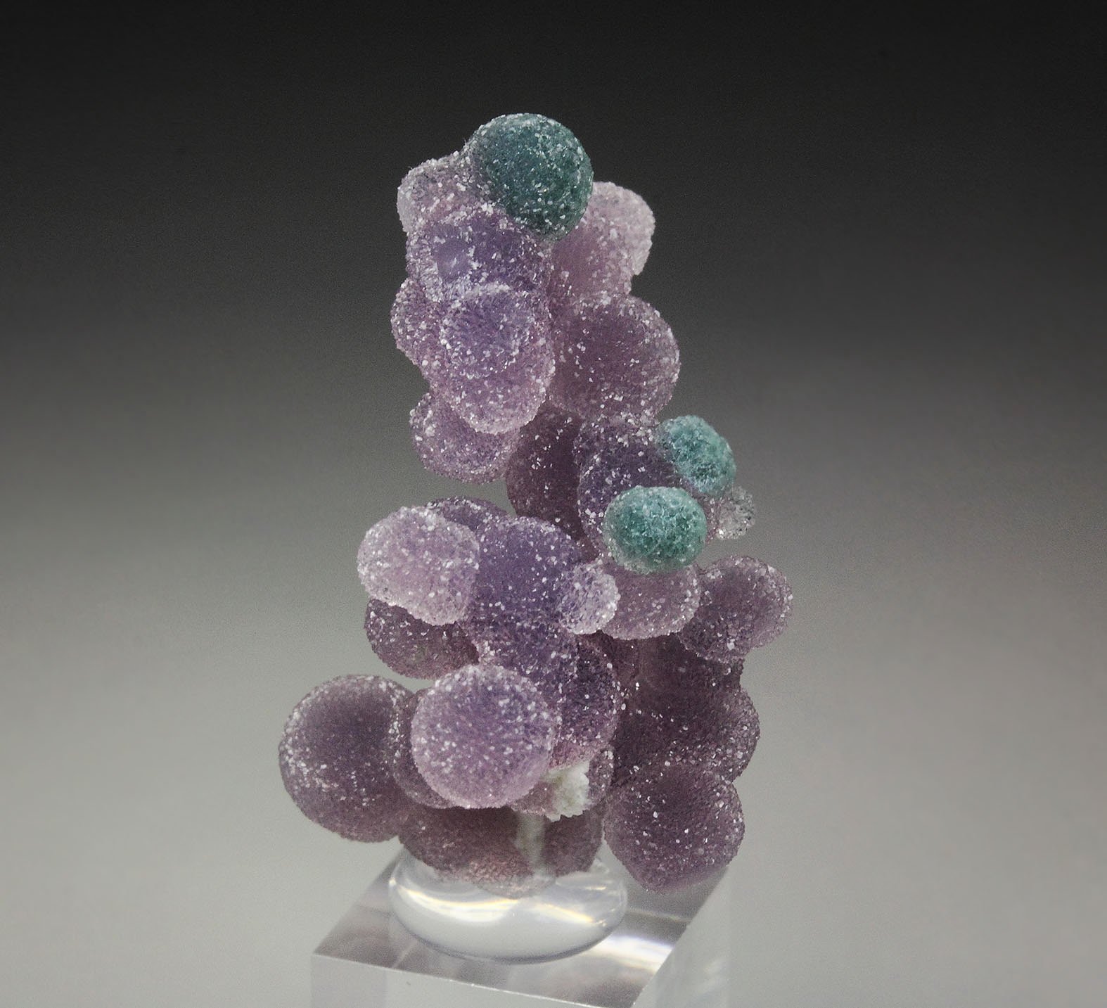 QUARTZ var. AMETHYST - grape agate