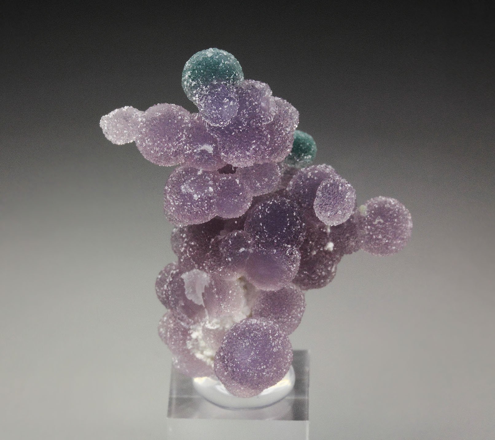 QUARTZ var. AMETHYST - grape agate