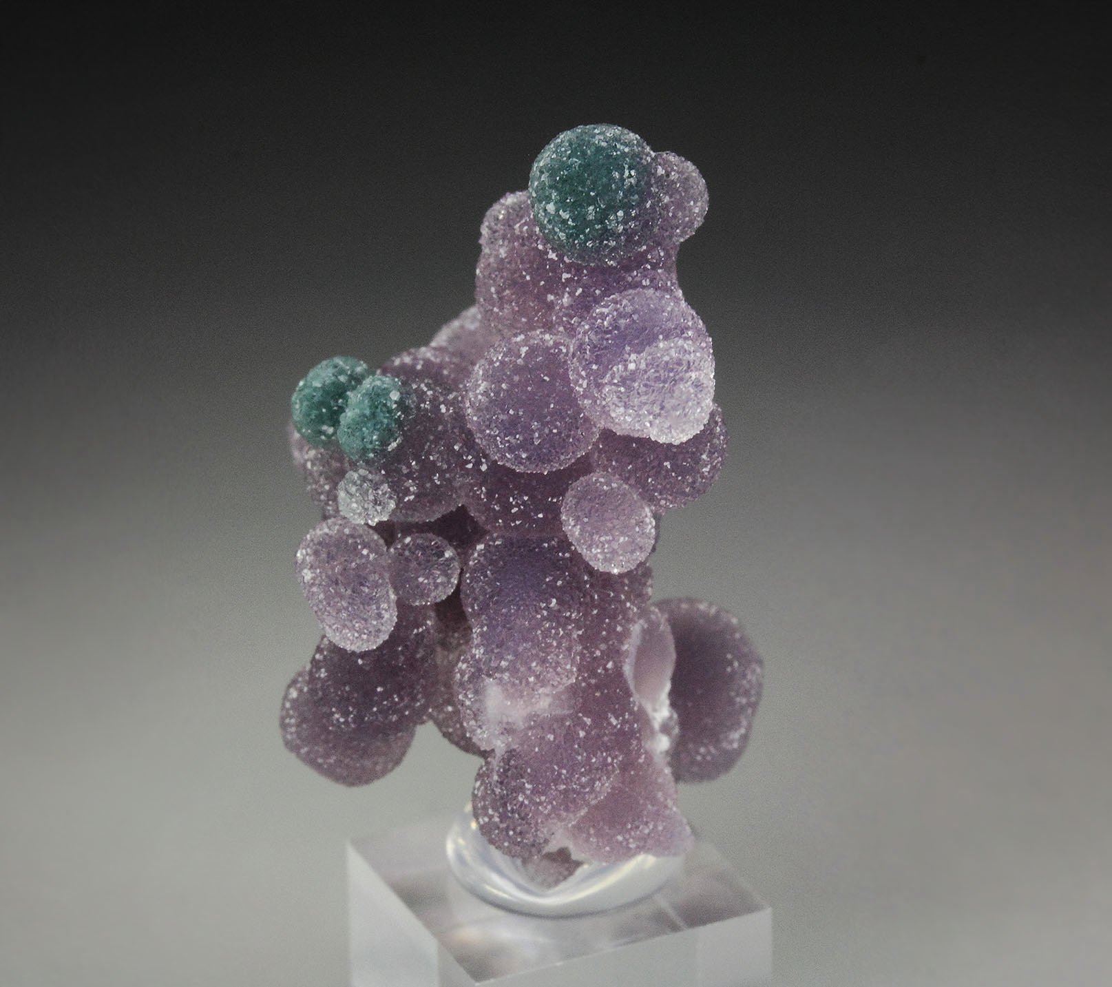 QUARTZ var. AMETHYST - grape agate