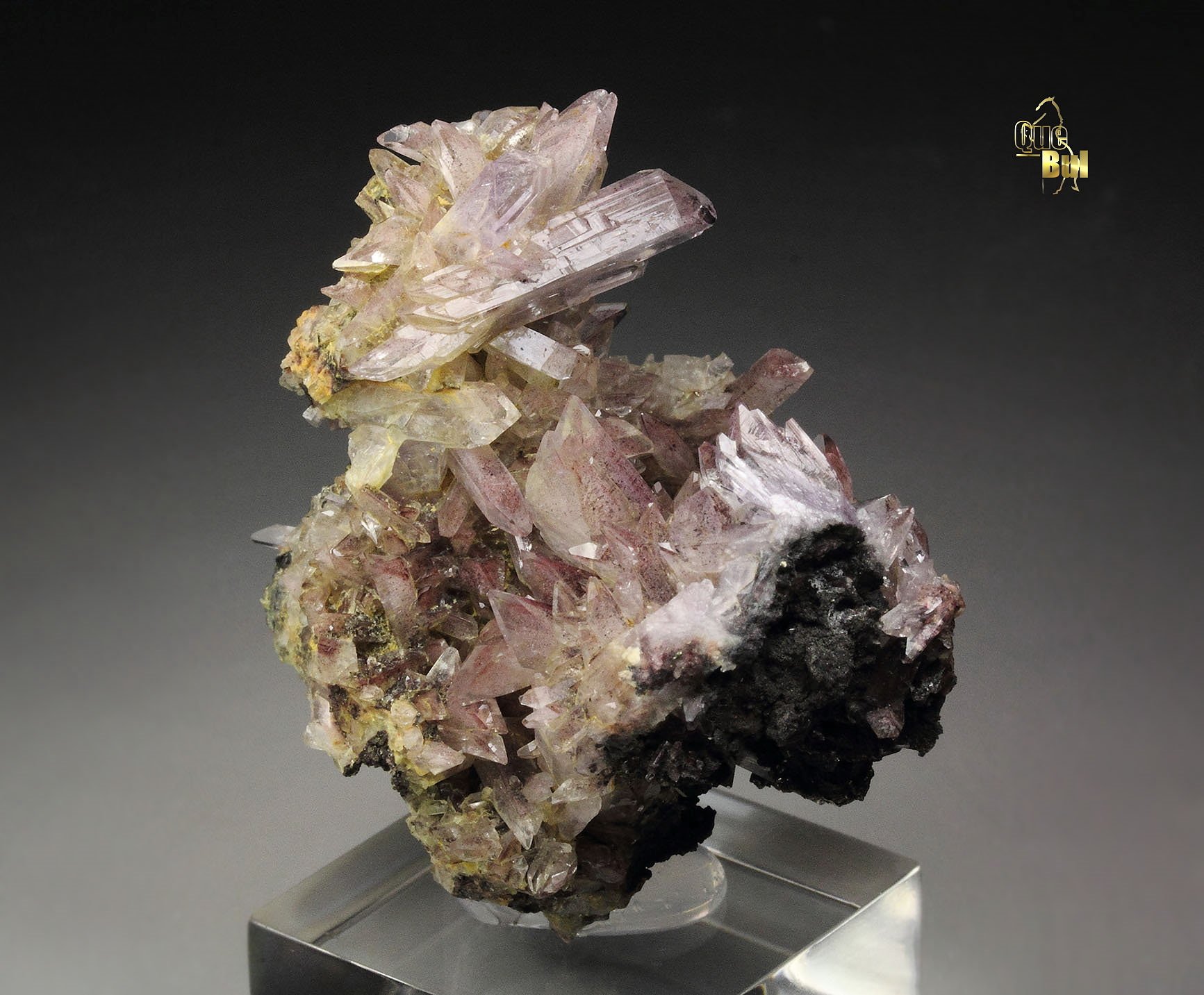 CREEDITE