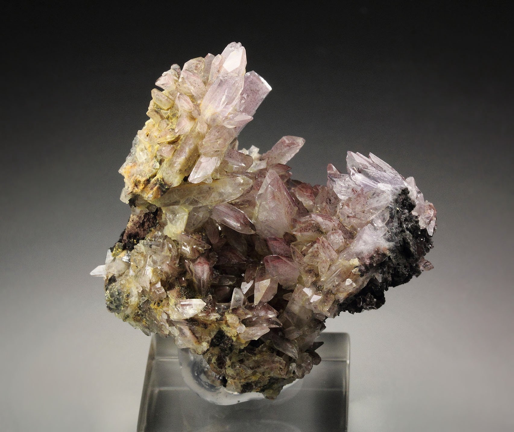 CREEDITE