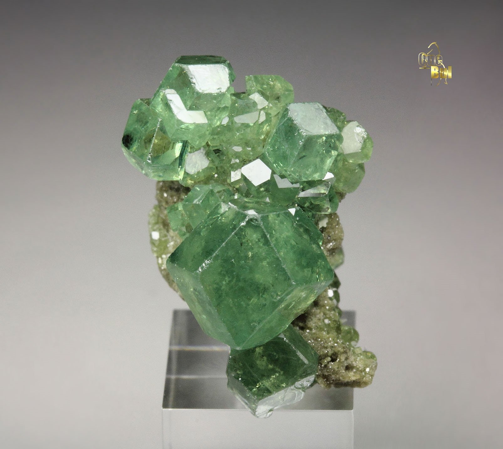 gem GARNET var. ANDRADITE var. DEMANTOID