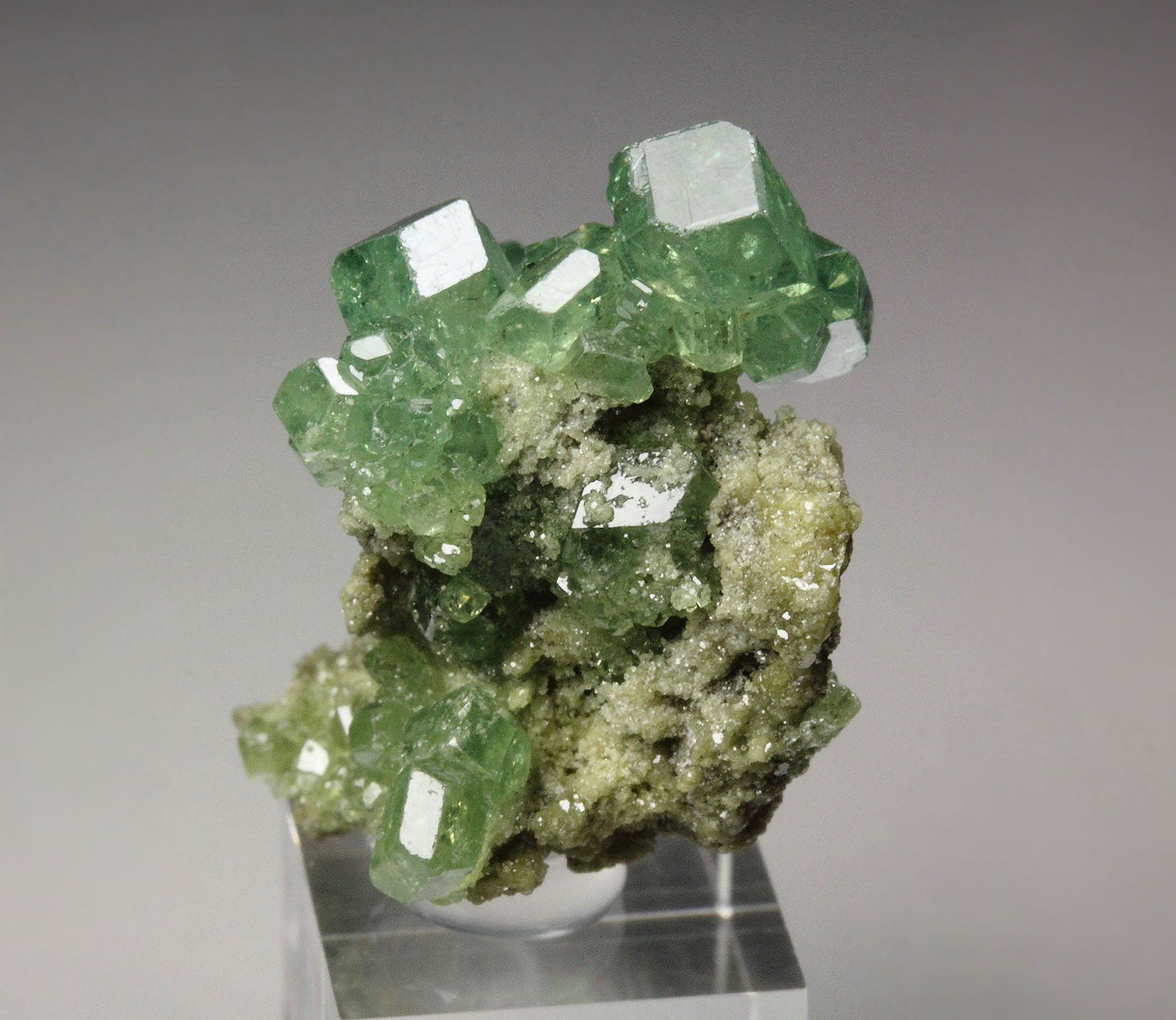 gem GARNET var. ANDRADITE var. DEMANTOID