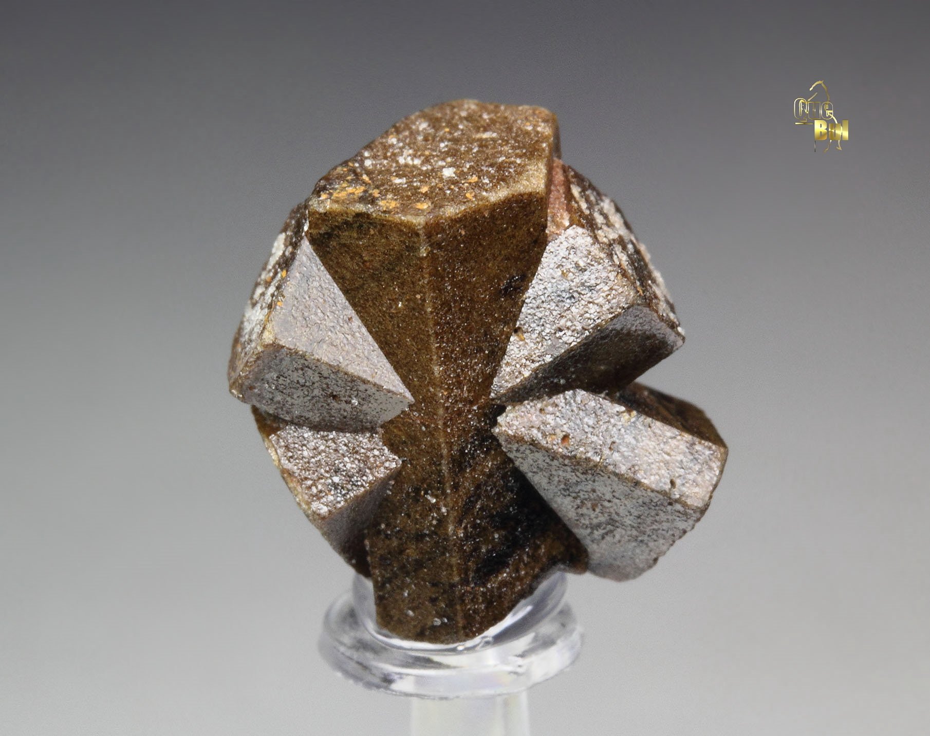 twinned STAUROLITE