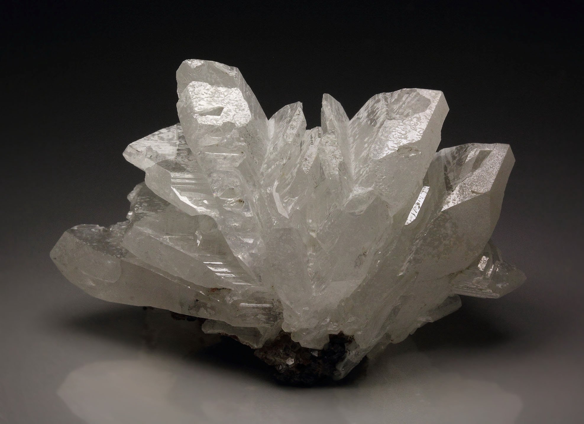 reticulated CERUSSITE