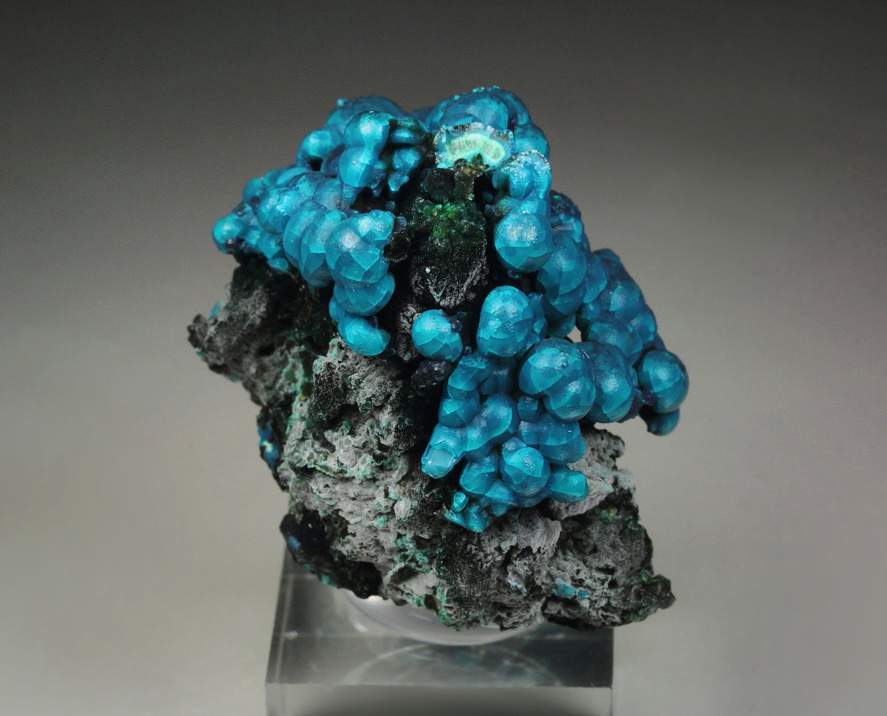 CHRYSOCOLLA