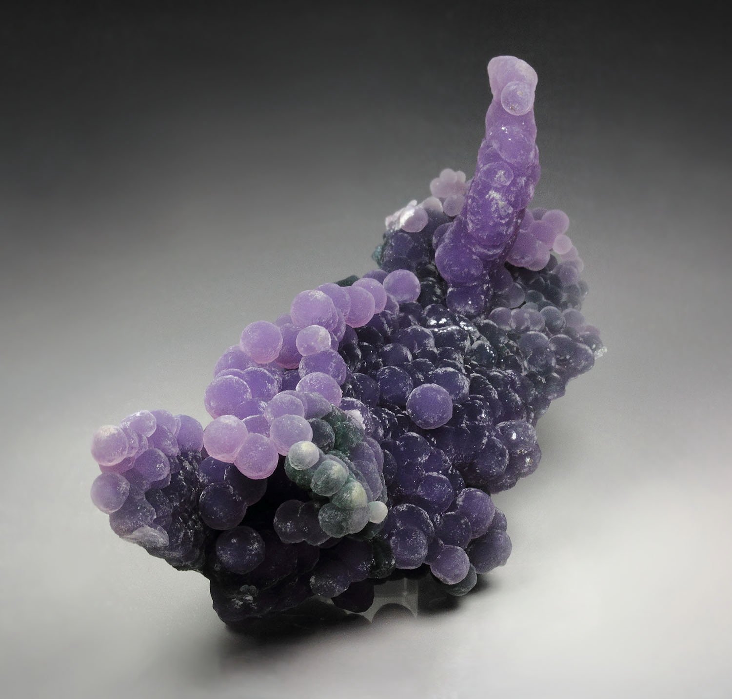 QUARTZ var. AMETHYST - grape agate