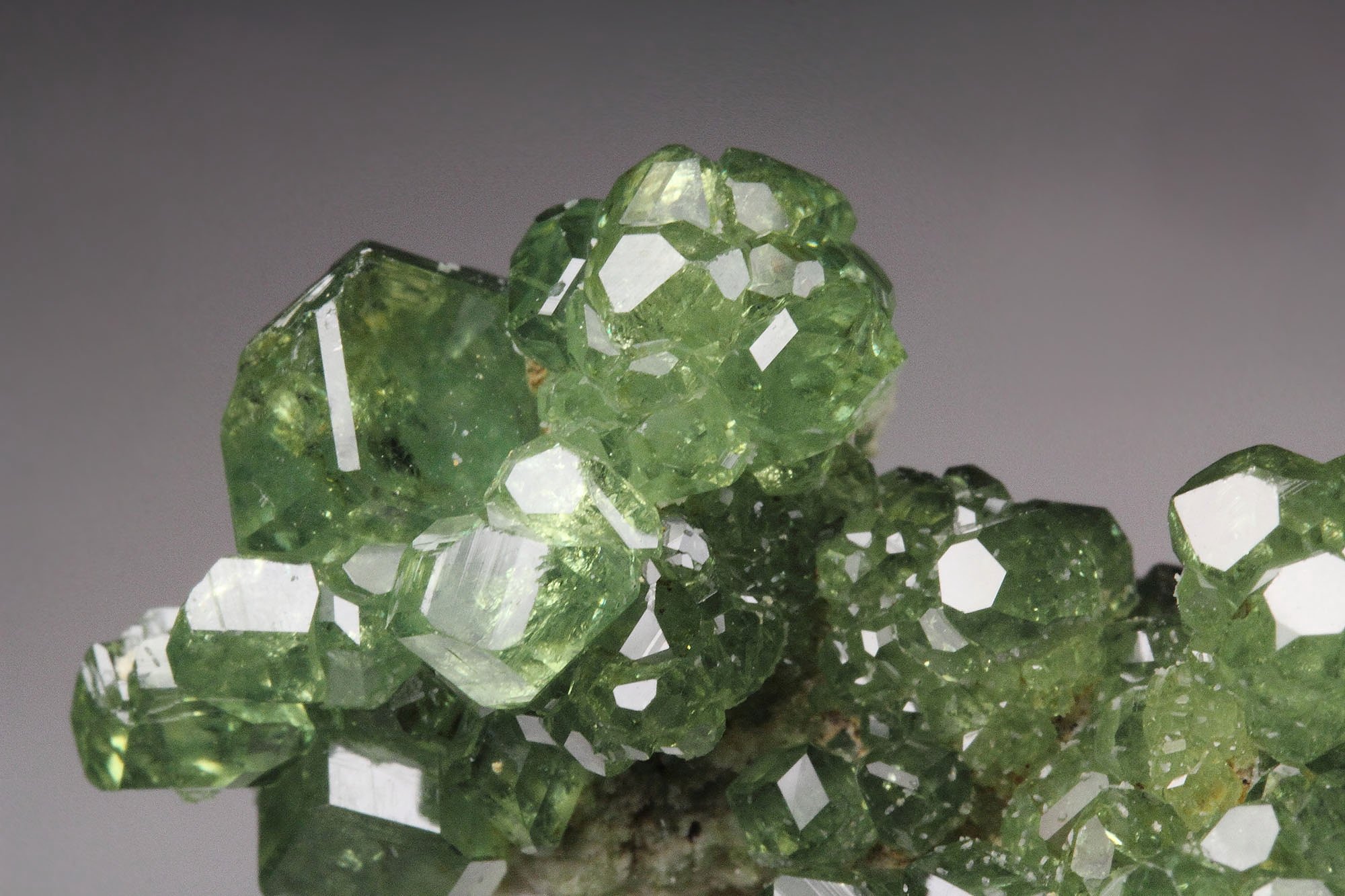 gem GARNET var. ANDRADITE var. DEMANTOID