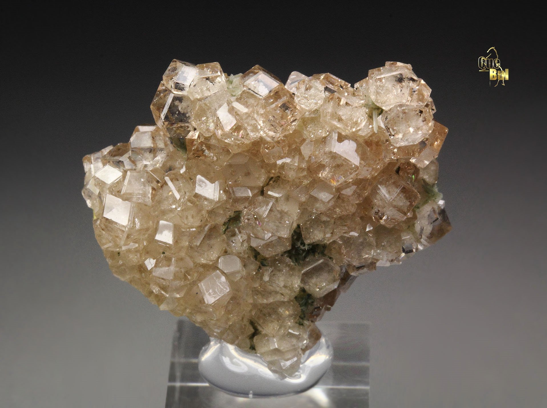 gem GARNET var. GROSSULAR