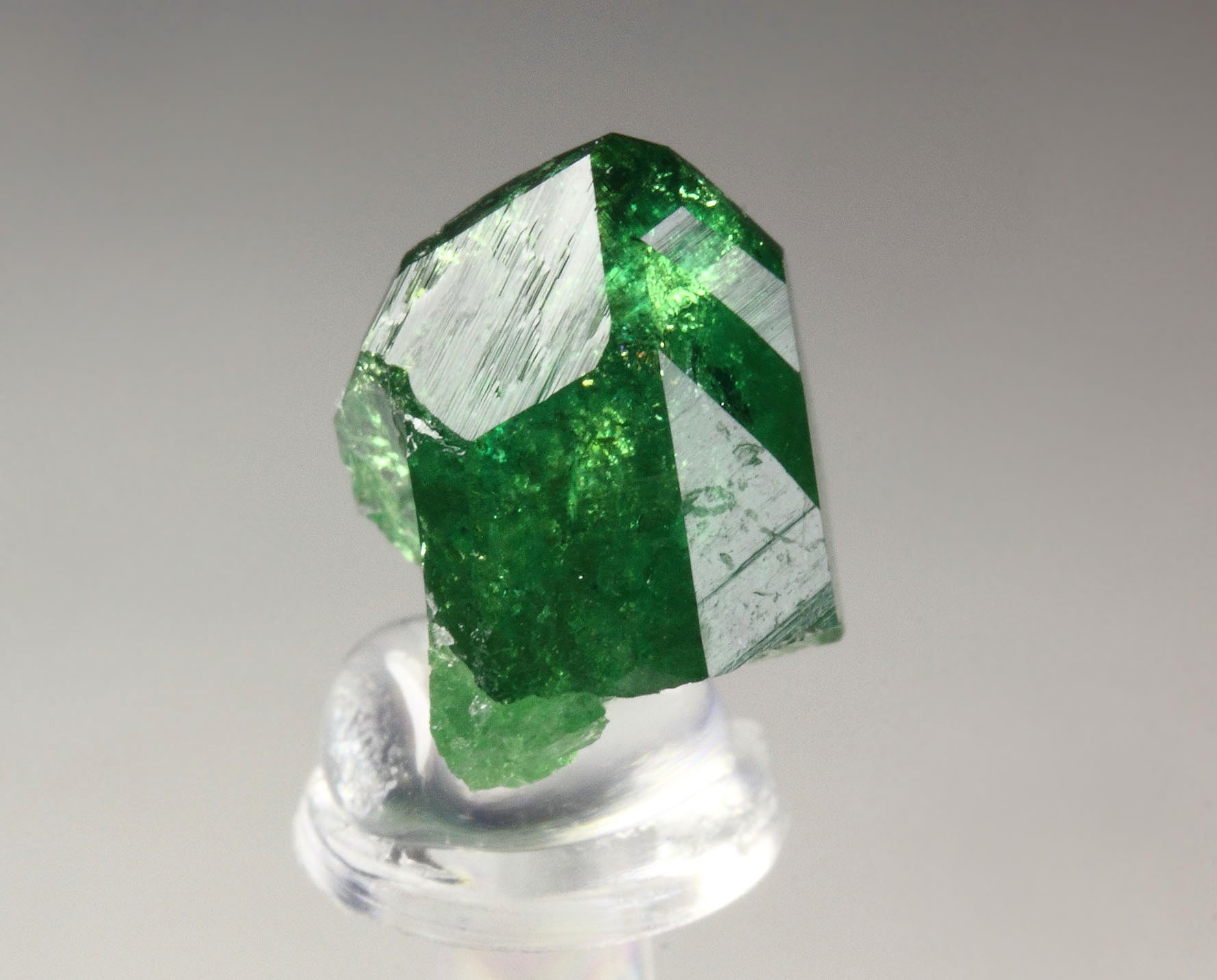 gem VESUVIANITE var. CHROMIAN