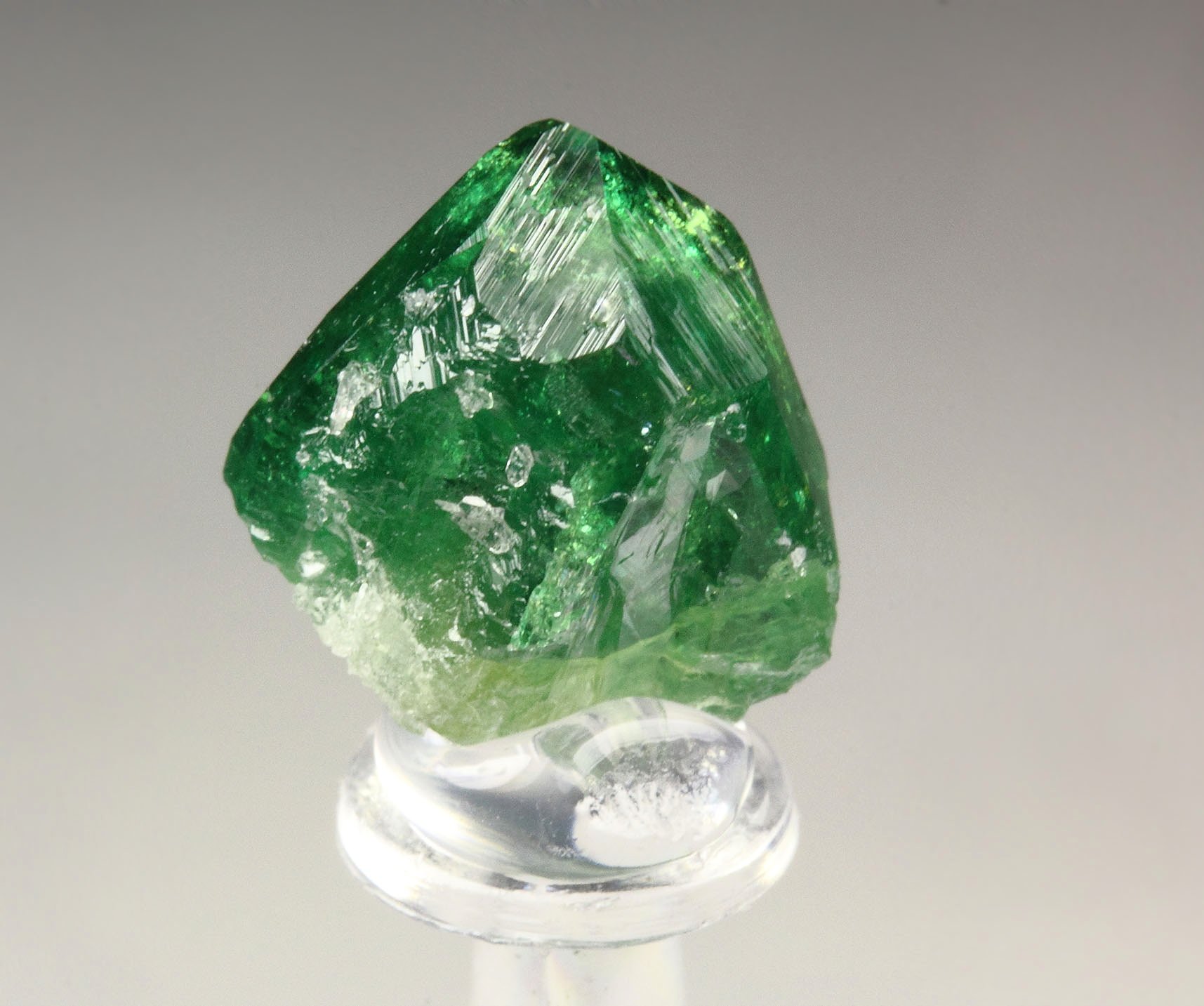 gem VESUVIANITE var. CHROMIAN