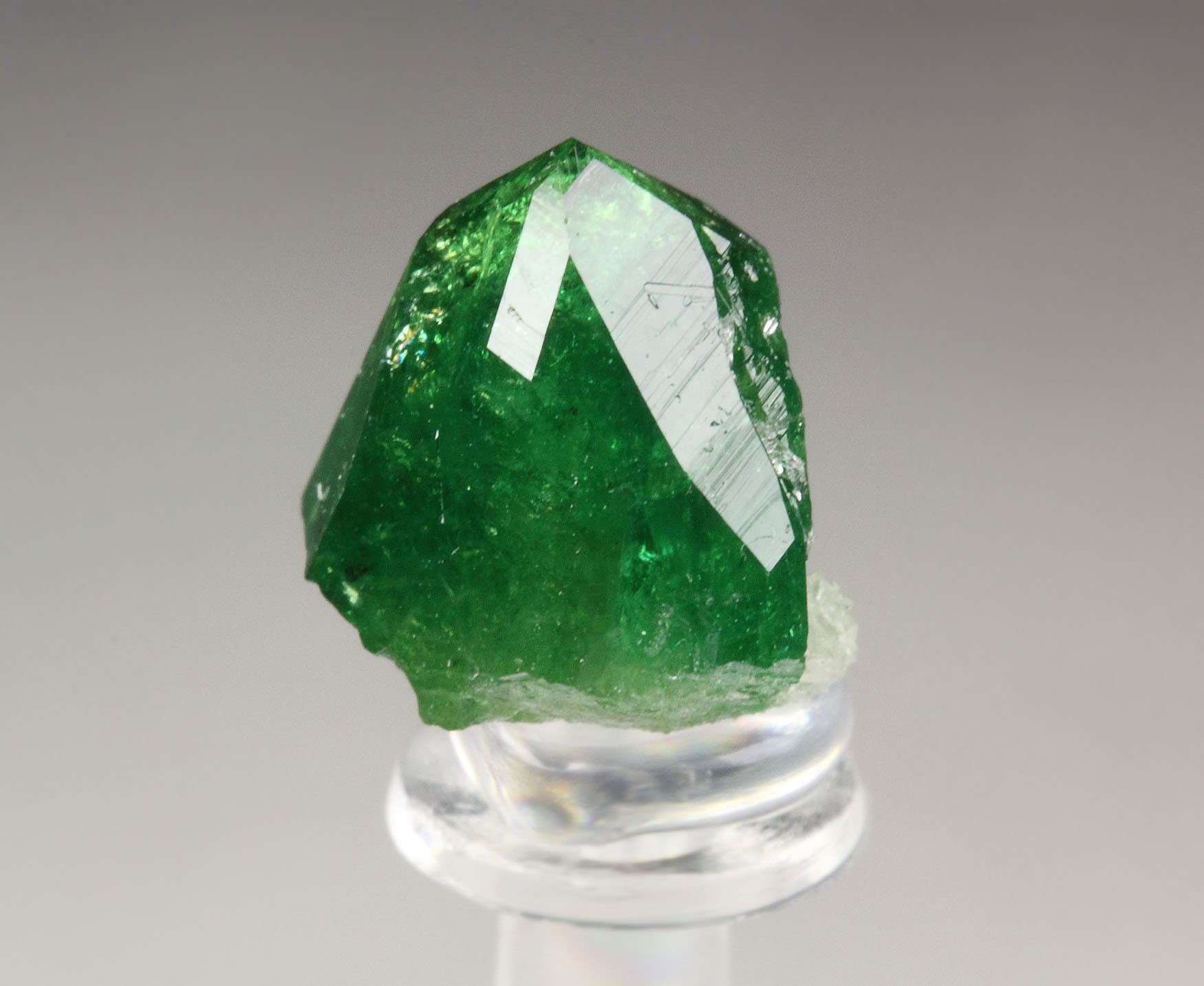 gem VESUVIANITE var. CHROMIAN