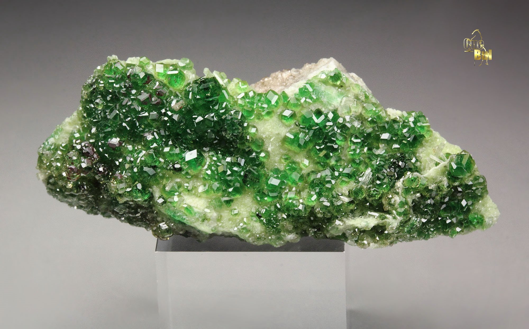 gem GARNET var. GROSSULAR var. CHROMIAN, CHROMITE, DIOPSIDE