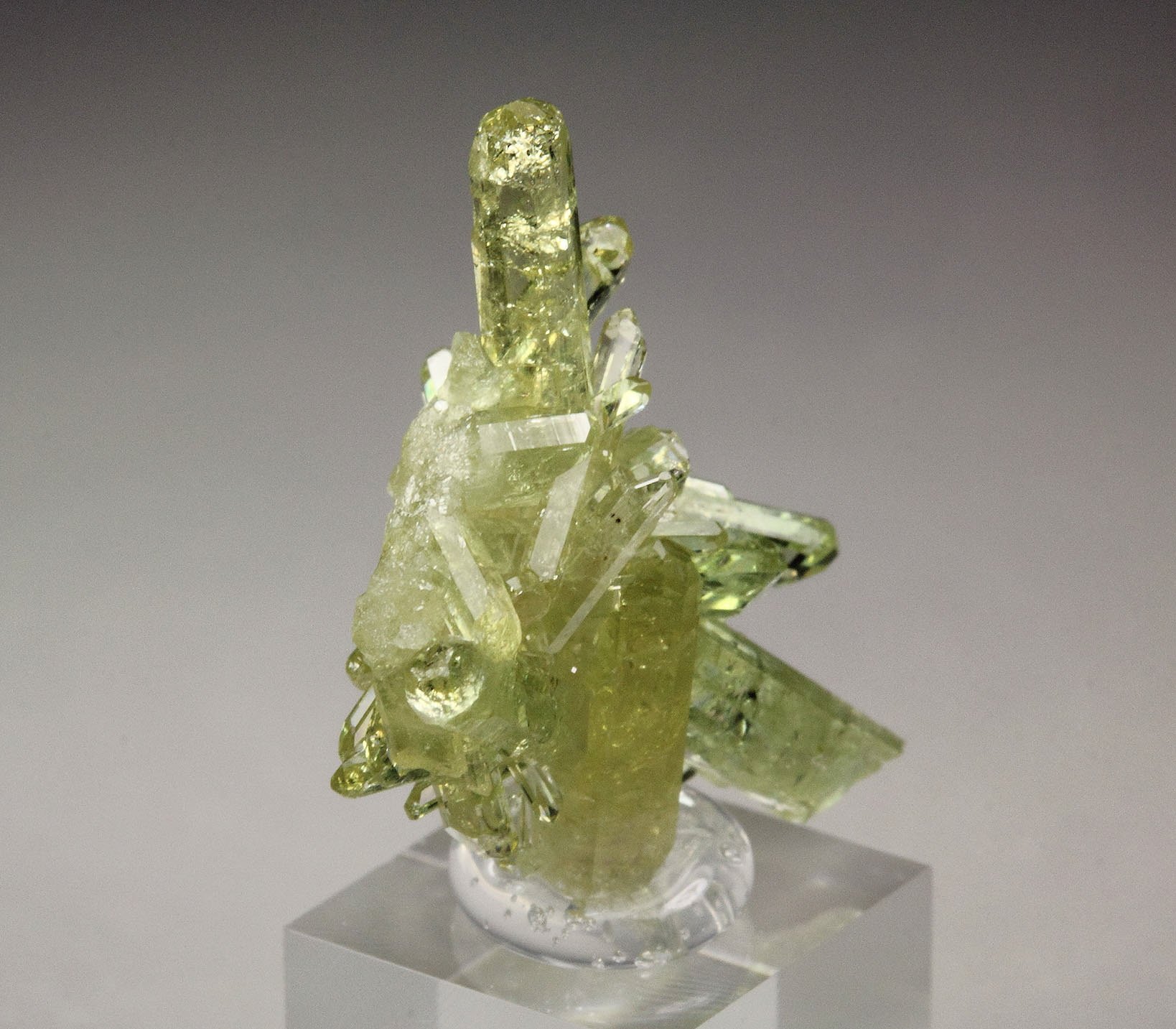 gem VESUVIANITE