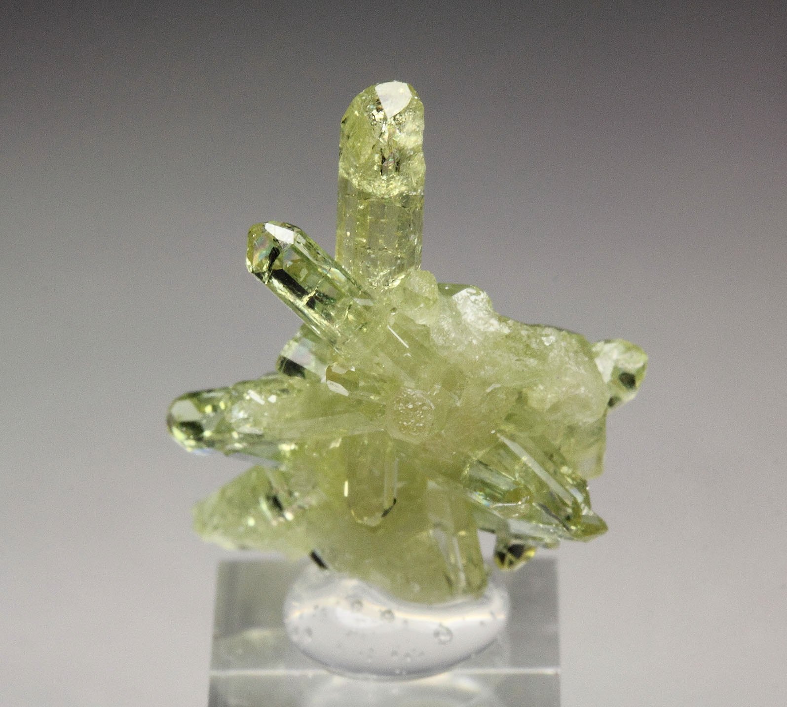 gem VESUVIANITE