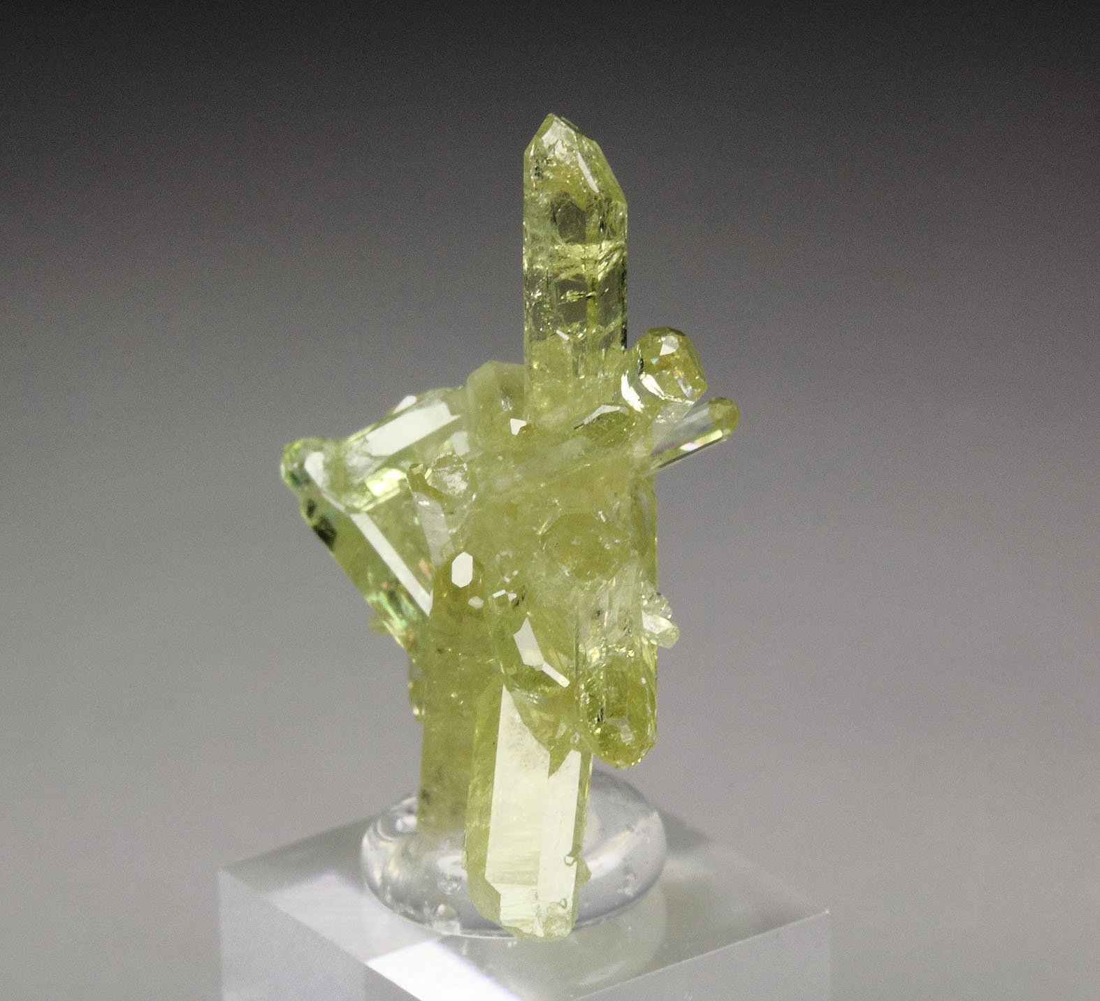 gem VESUVIANITE