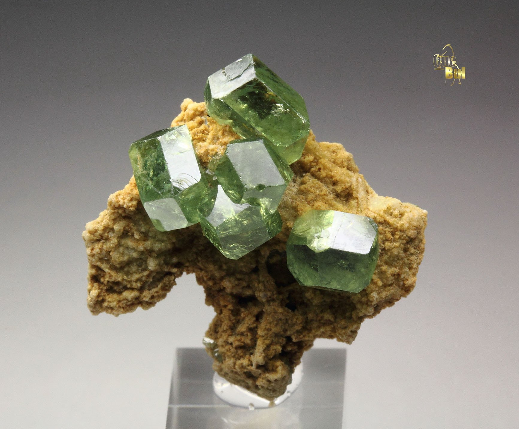 gem GARNET var. ANDRADITE var. DEMANTOID