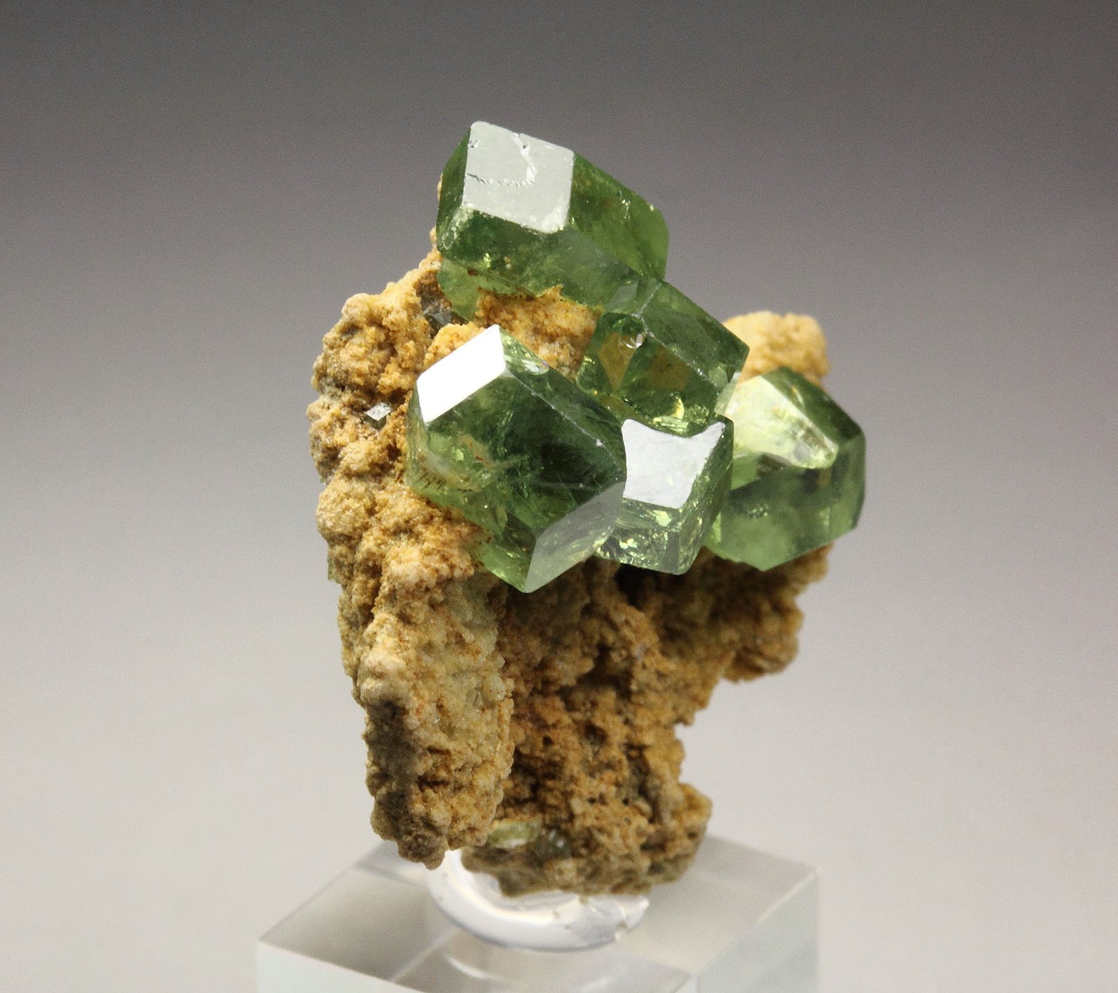 gem GARNET var. ANDRADITE var. DEMANTOID