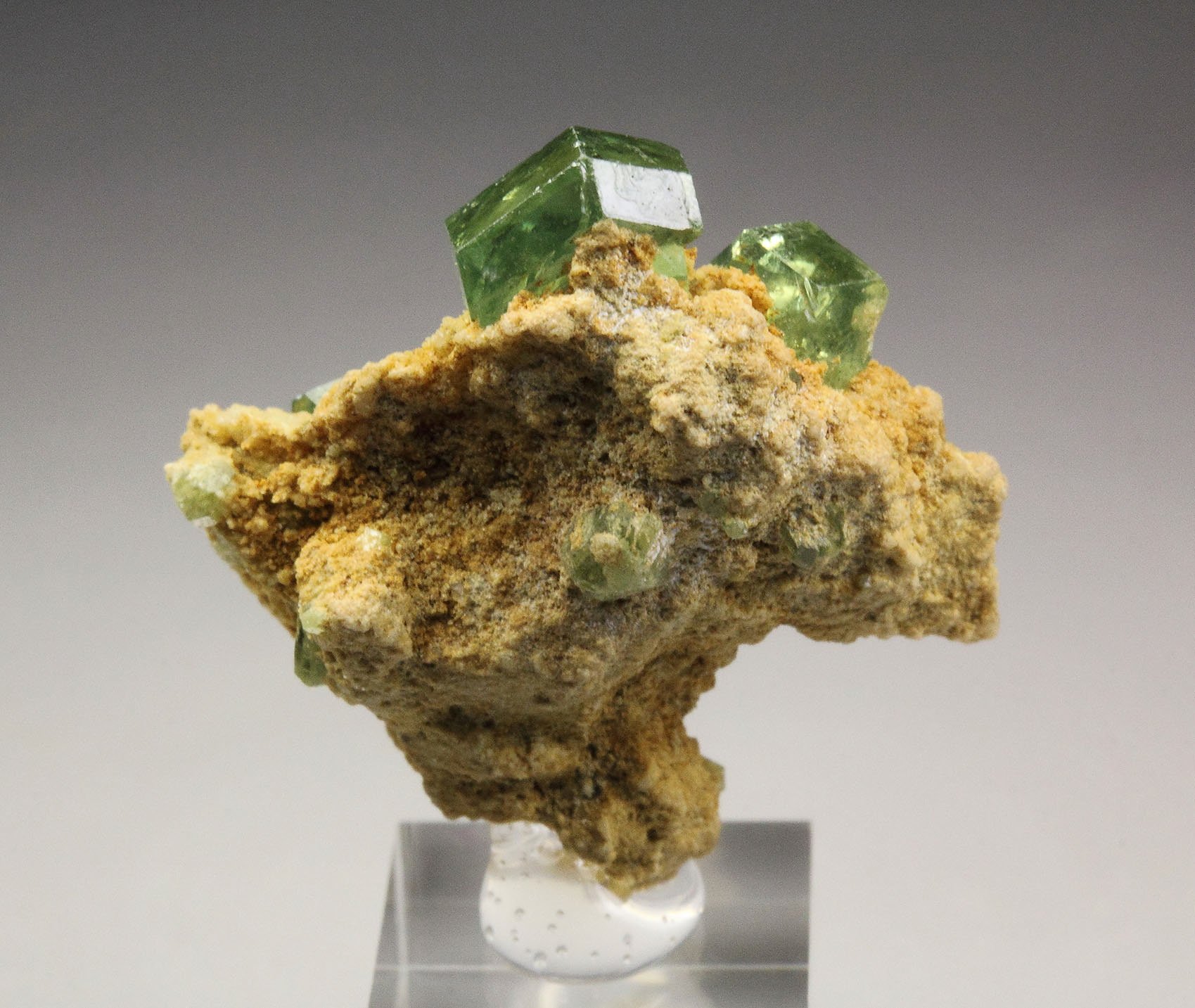 gem GARNET var. ANDRADITE var. DEMANTOID