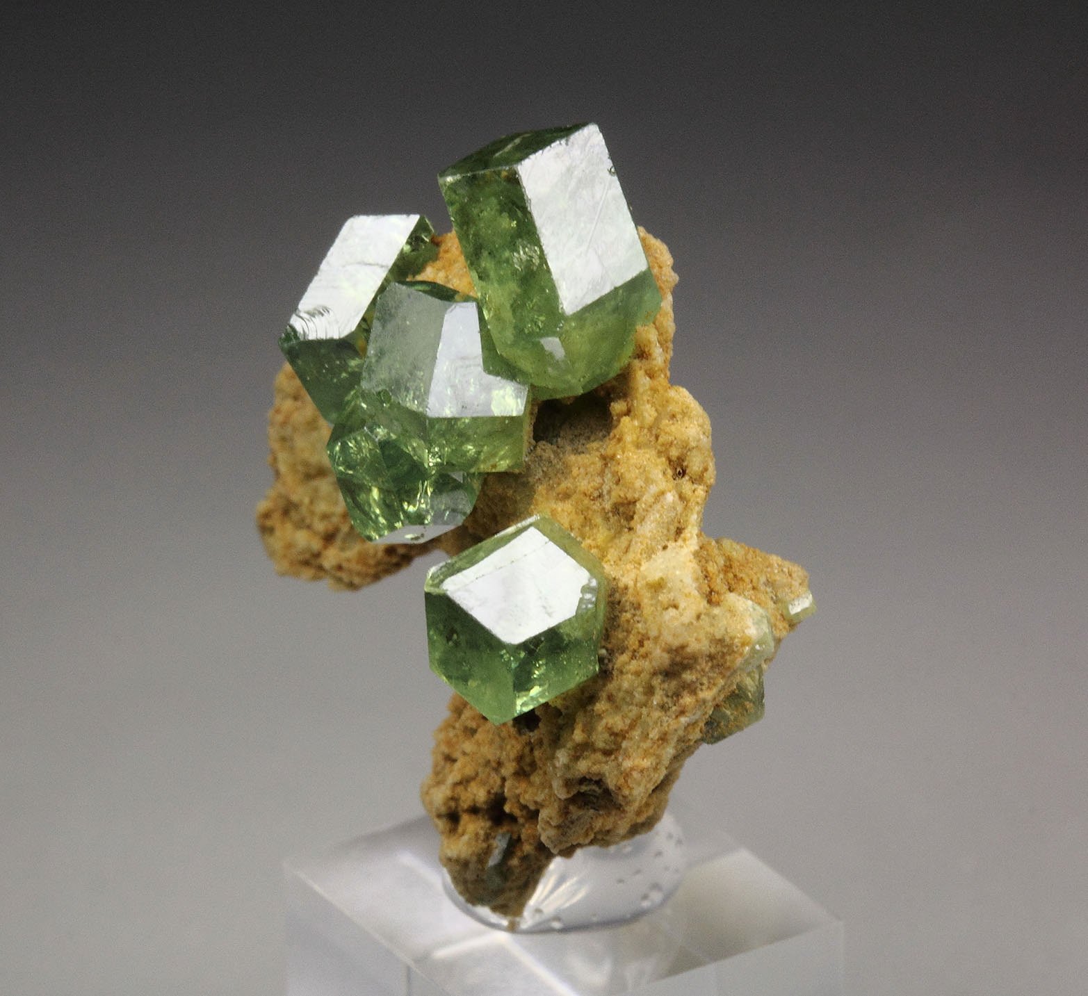 gem GARNET var. ANDRADITE var. DEMANTOID