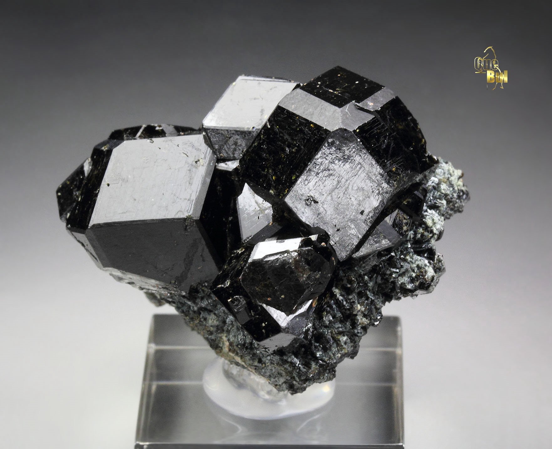 GARNET var. ANDRADITE var. MELANITE, PARGASITE