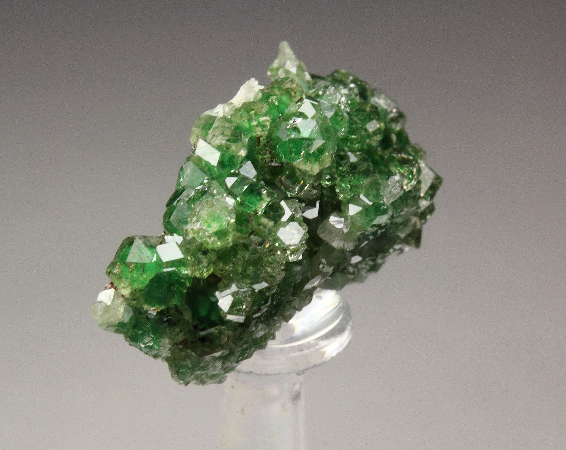 gem GARNET var. GROSSULAR with GREEN CHROMIAN PHANTOMS