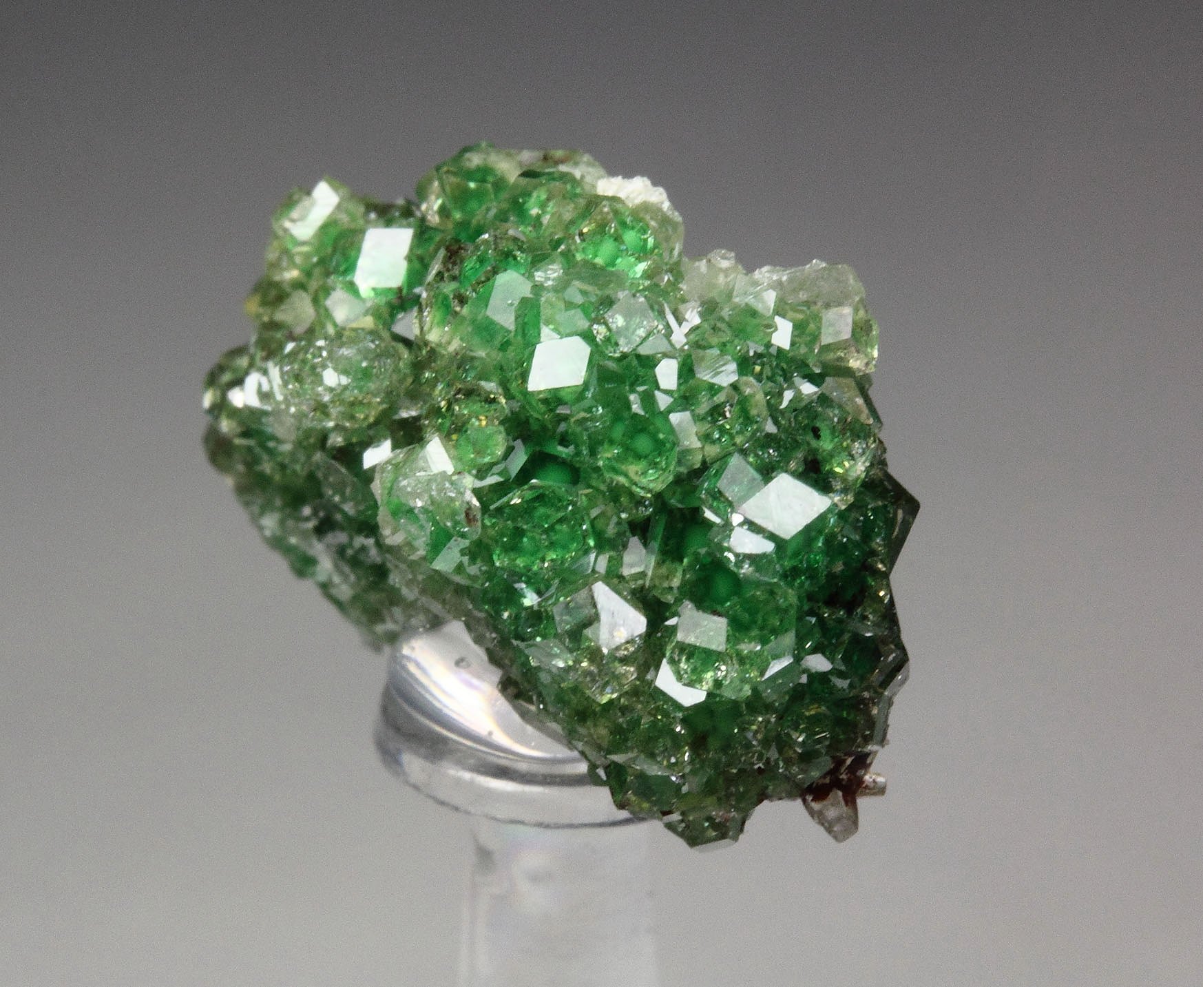 gem GARNET var. GROSSULAR with GREEN CHROMIAN PHANTOMS