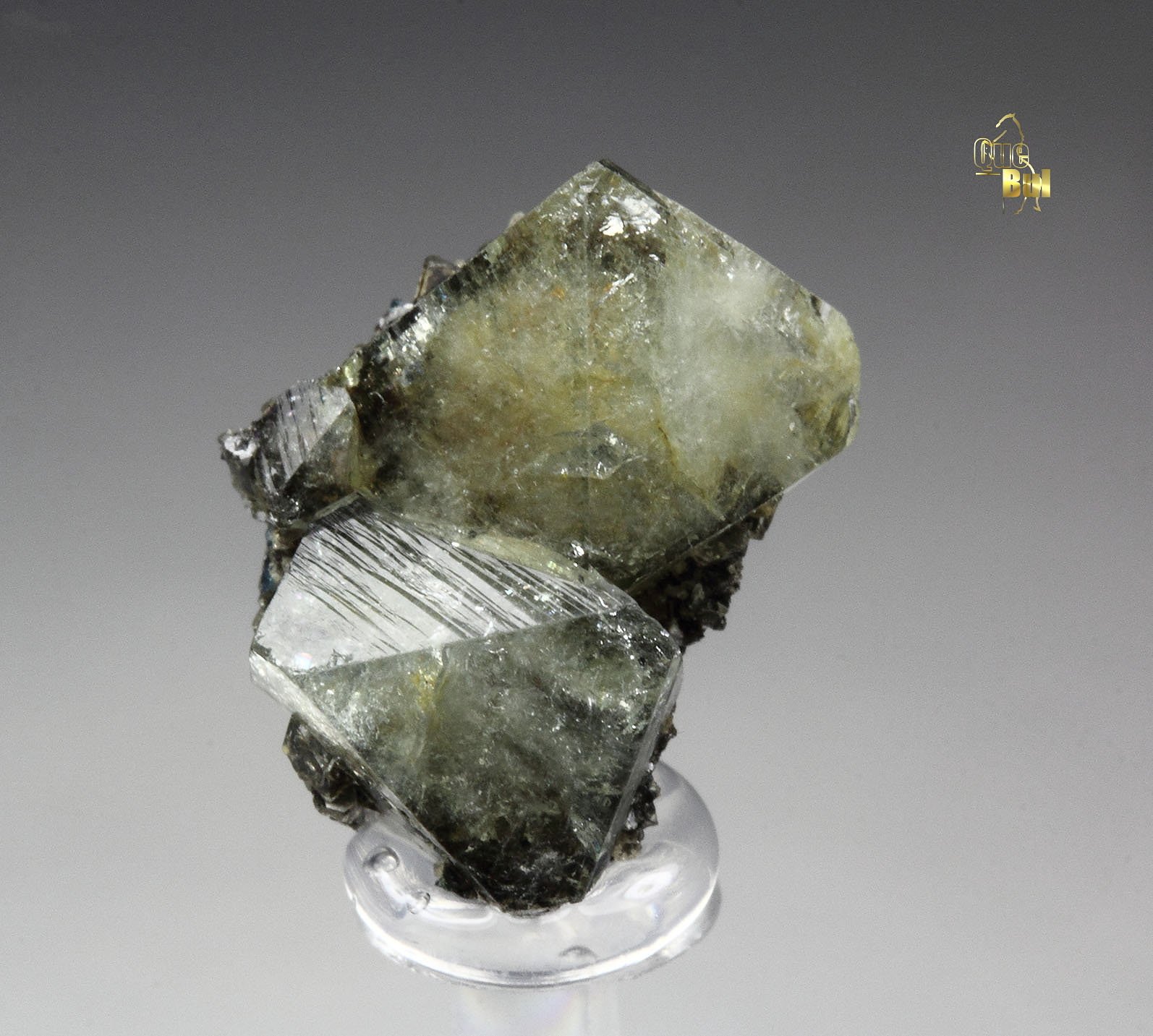 WARDITE