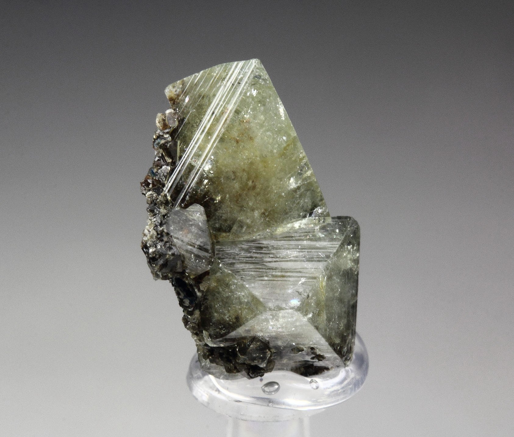 WARDITE