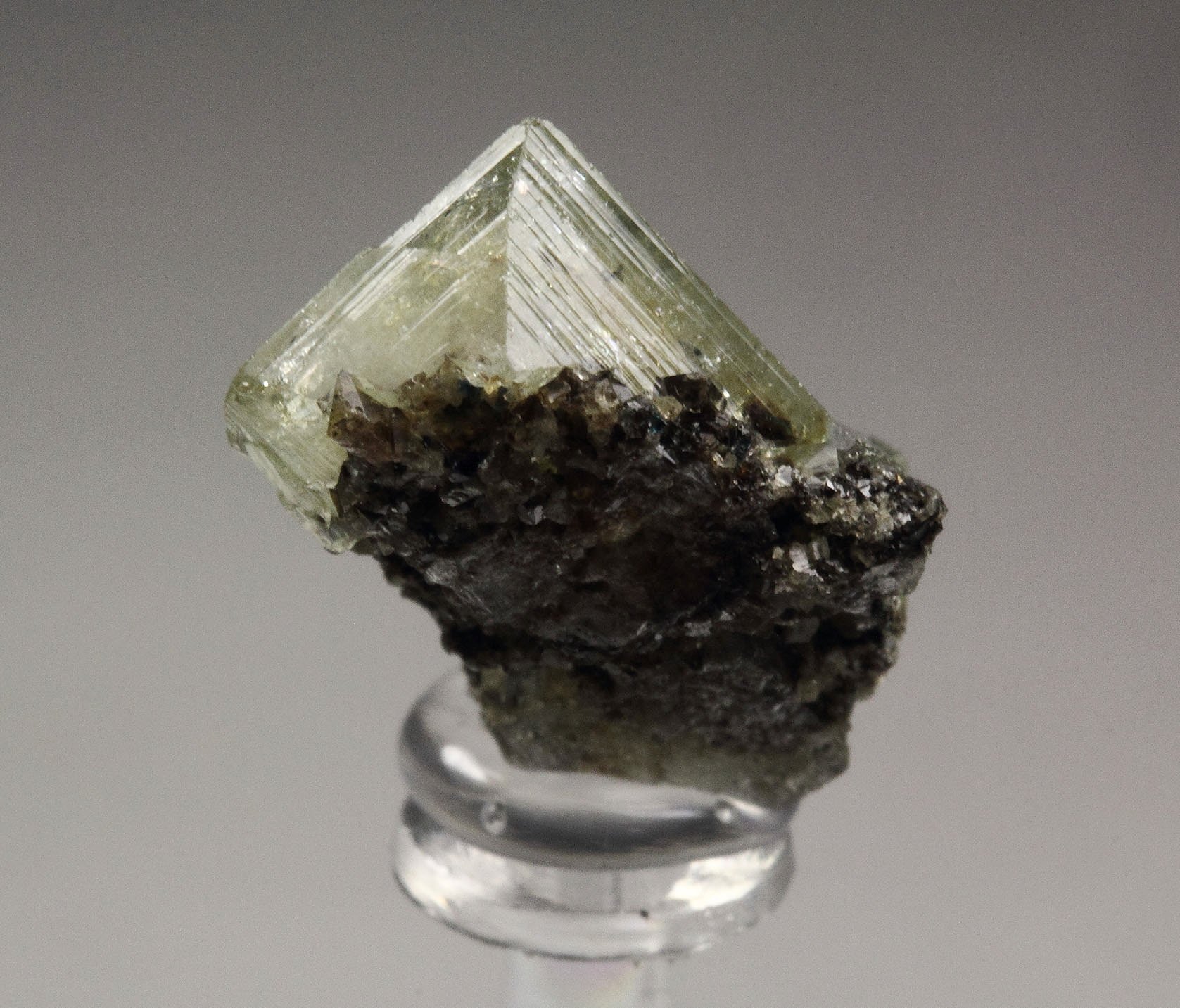 WARDITE