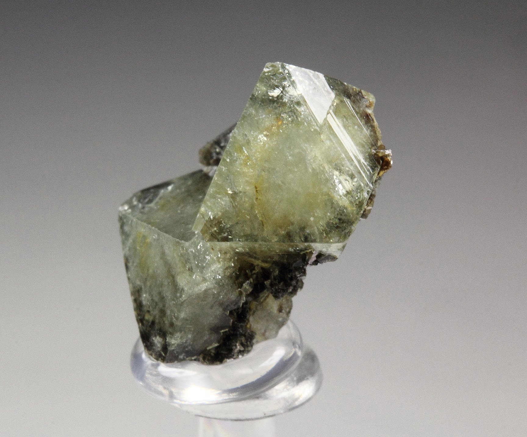 WARDITE