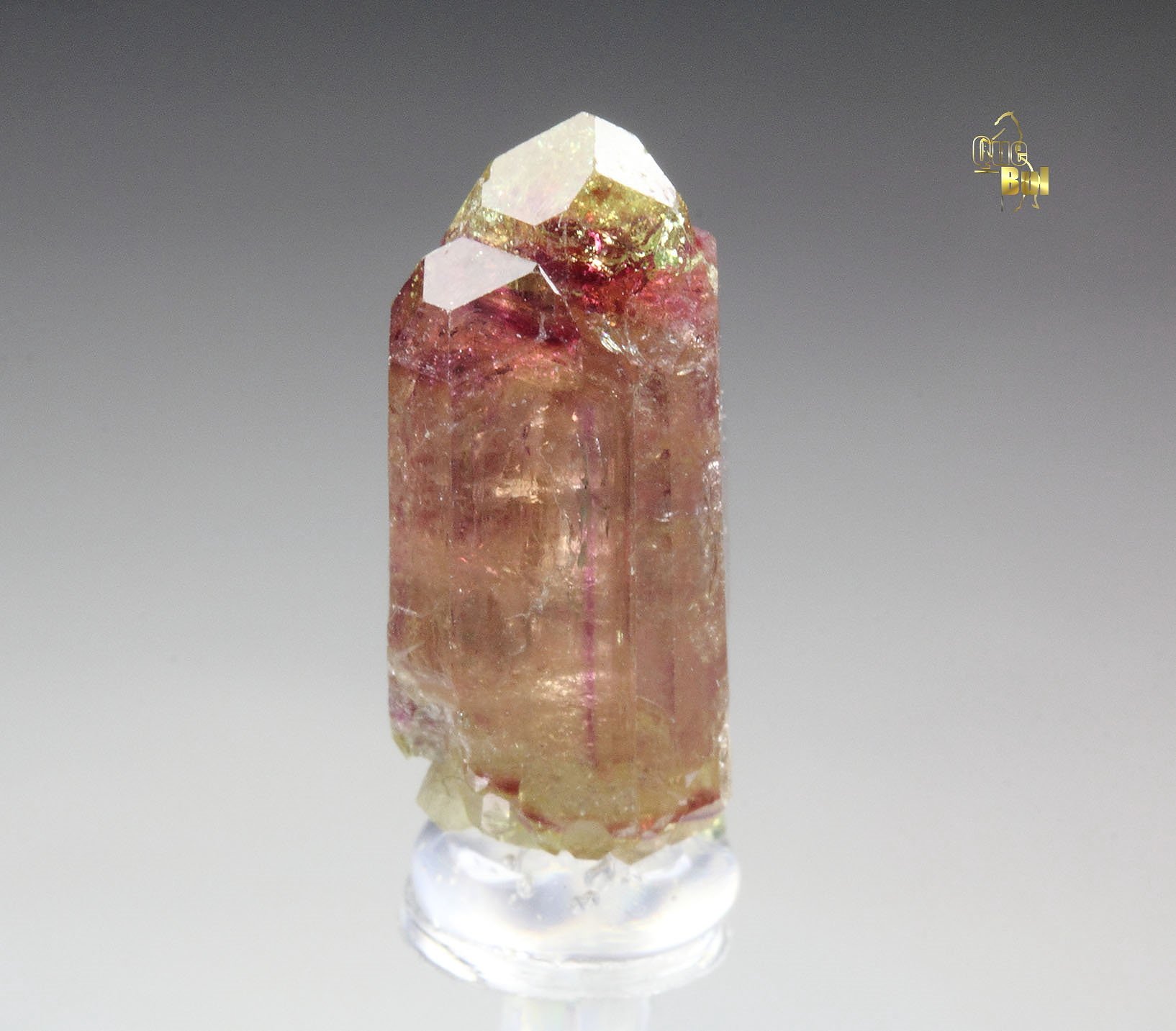 gemmy VESUVIANITE multicolor