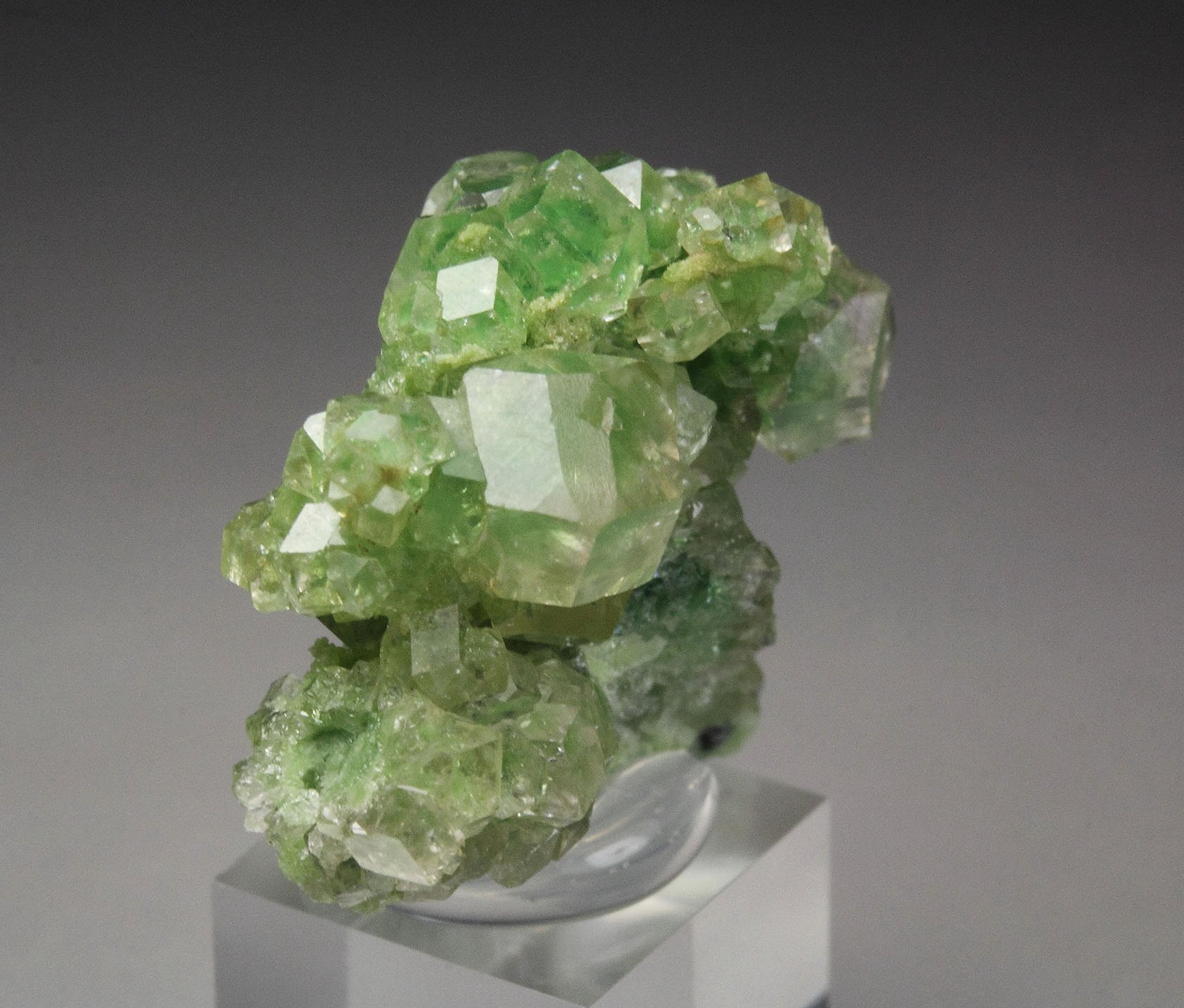 gem GARNET var. GROSSULAR with GREEN CHROMIAN PHANTOMS