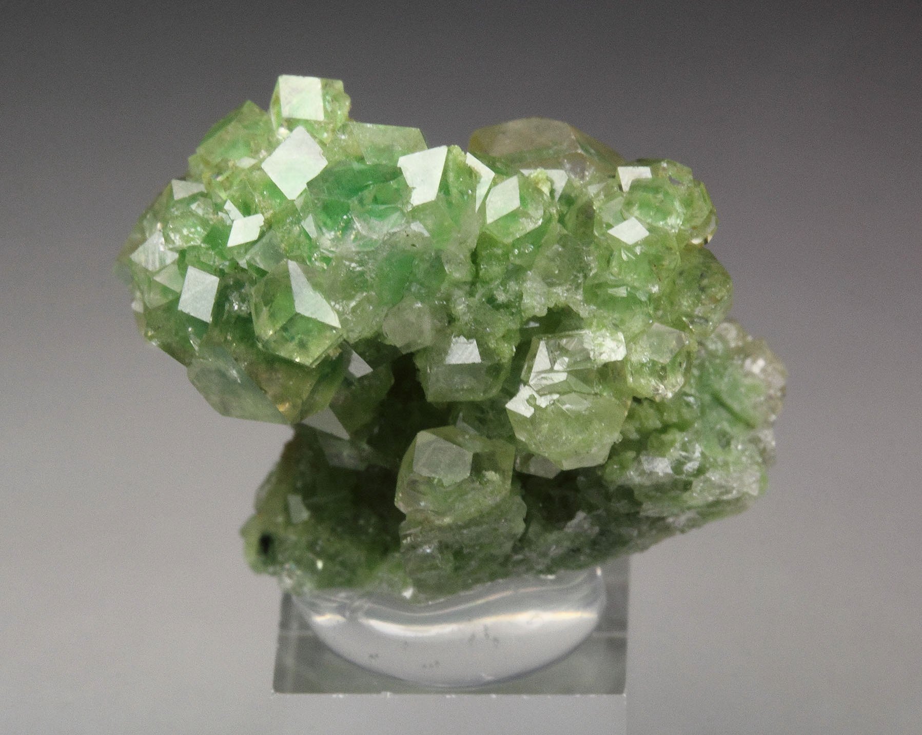 gem GARNET var. GROSSULAR with GREEN CHROMIAN PHANTOMS