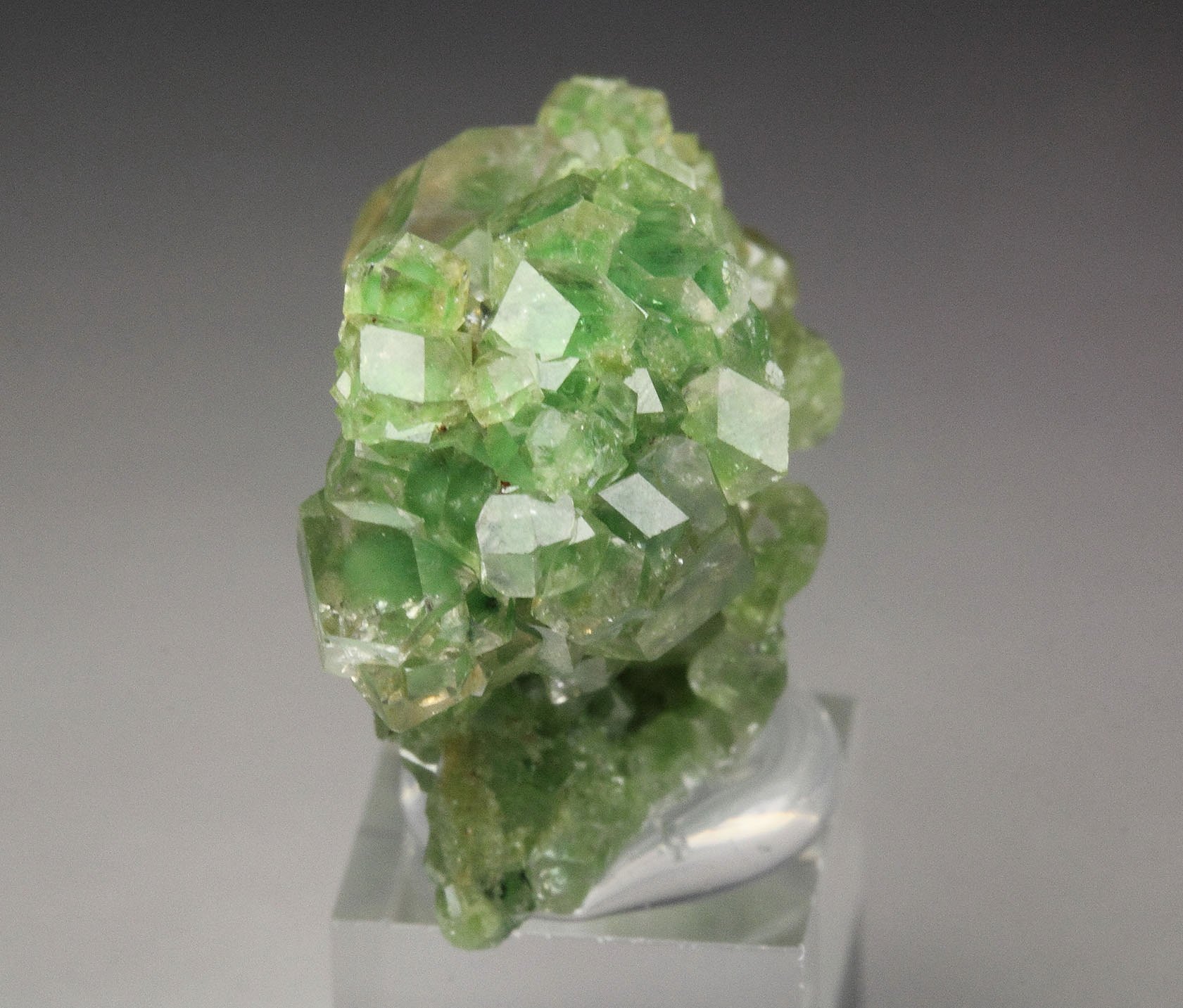 gem GARNET var. GROSSULAR with GREEN CHROMIAN PHANTOMS