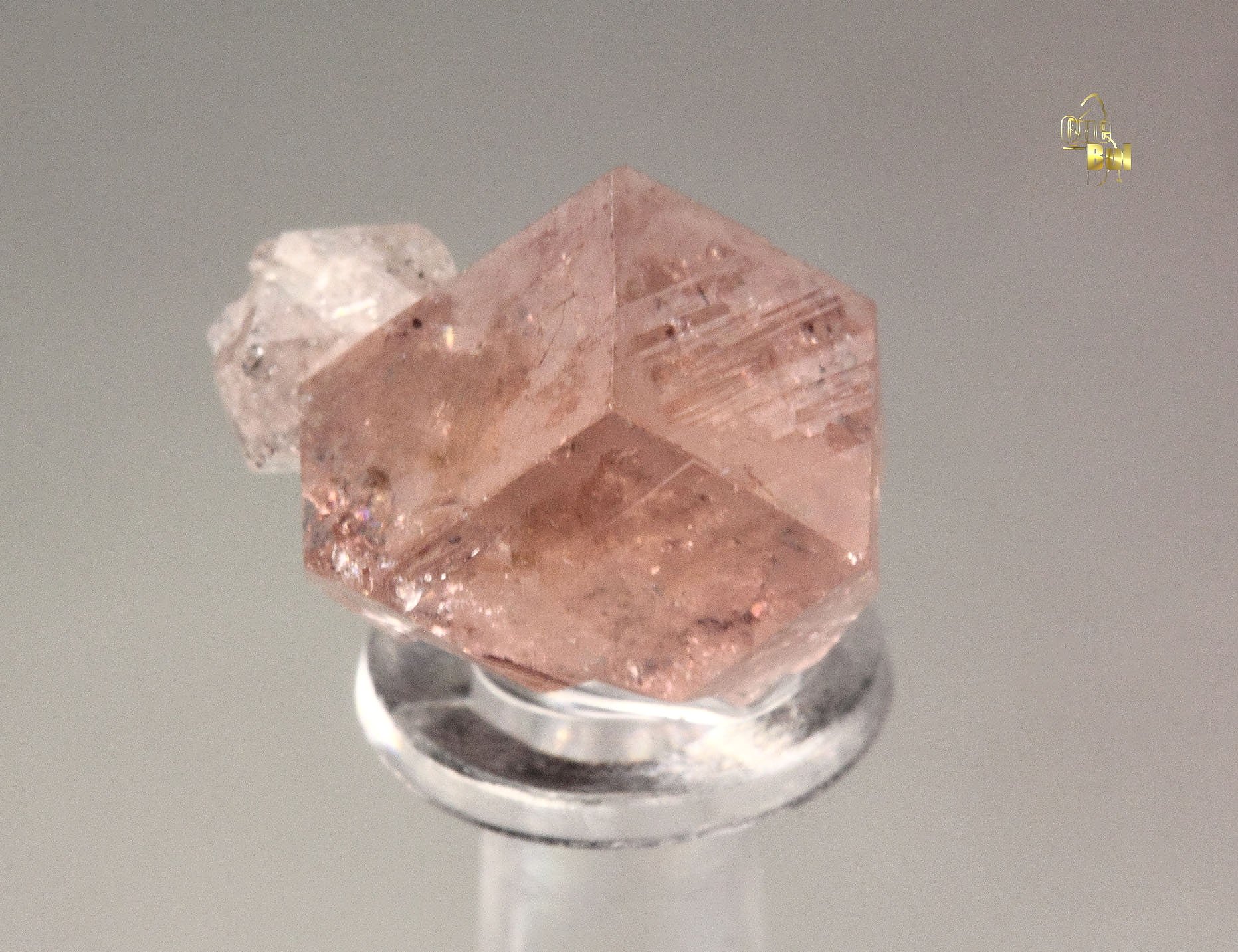 gem PINK GARNET var. GROSSULAR