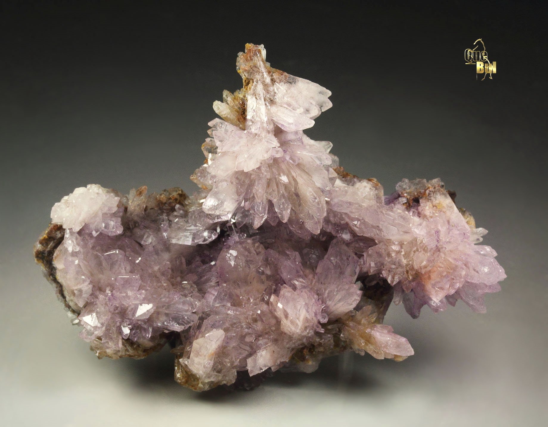 CREEDITE