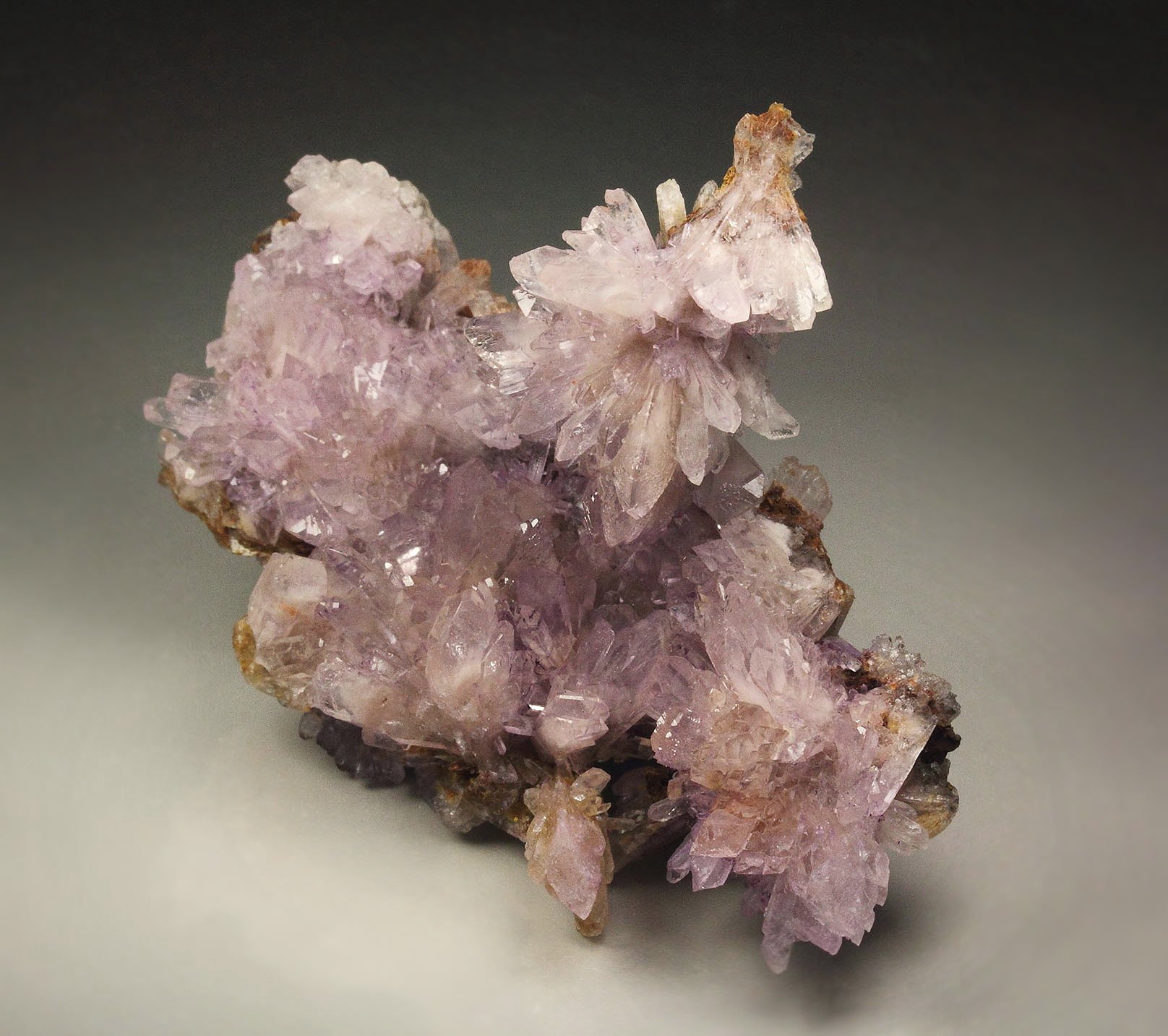 CREEDITE