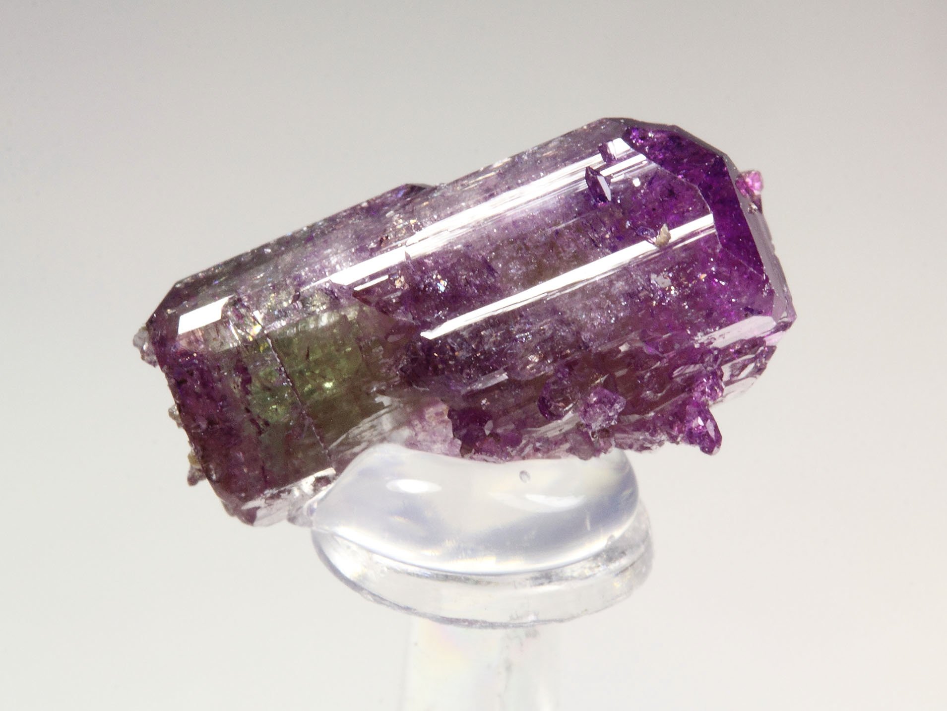 VESUVIANITE var. MANGANOAN, GARNET var. GROSSULAR