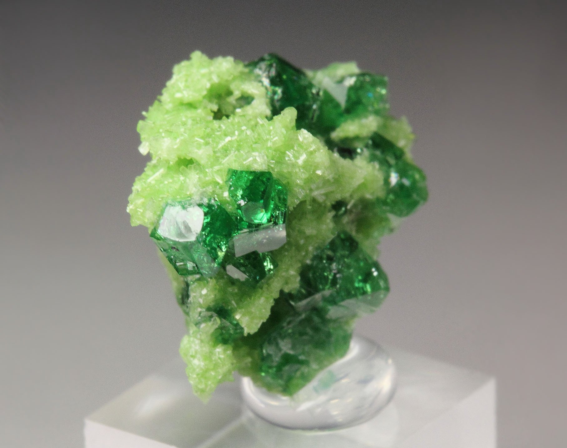 gem GARNET var. GROSSULAR var. CHROMIAN, DIOPSIDE