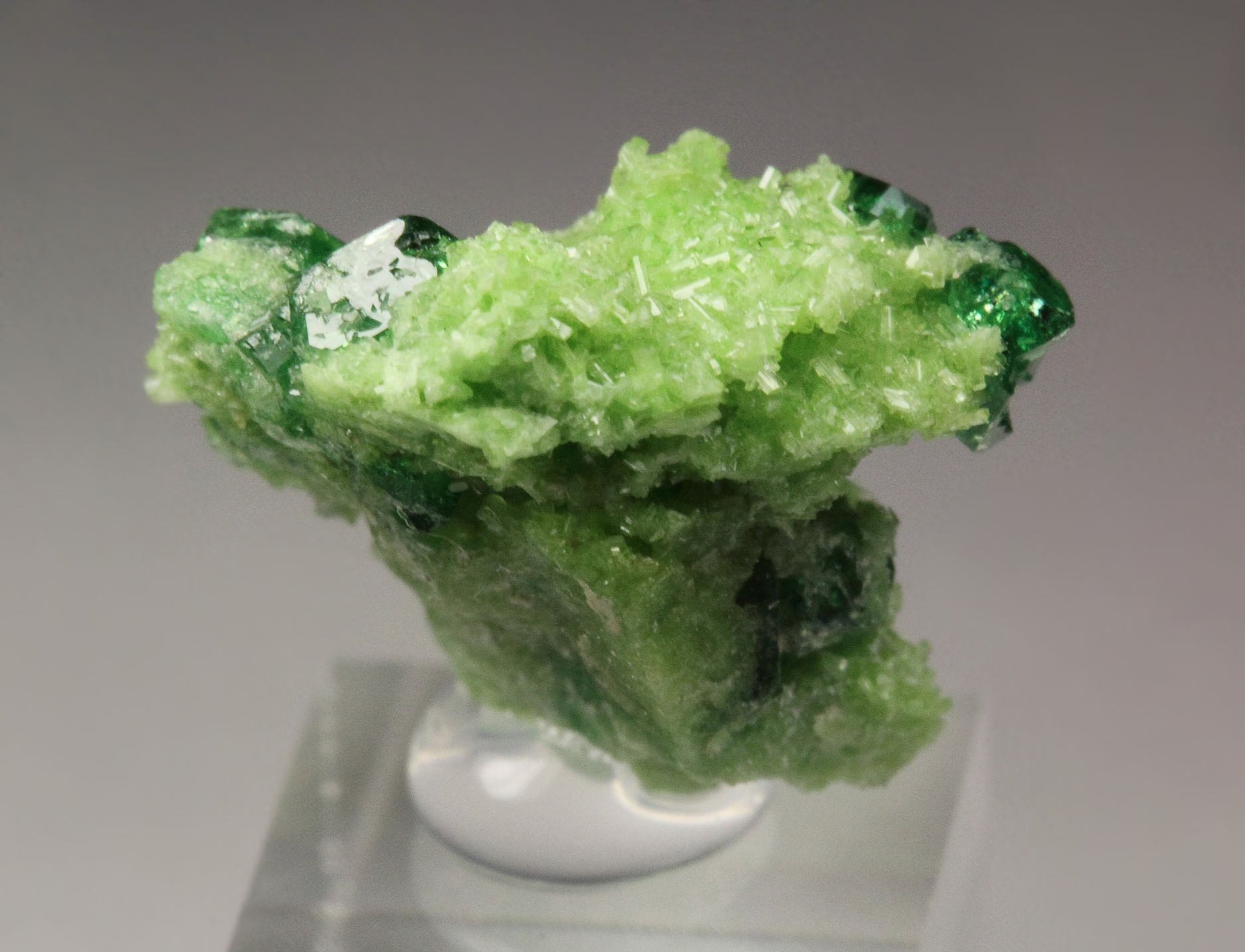 gem GARNET var. GROSSULAR var. CHROMIAN, DIOPSIDE