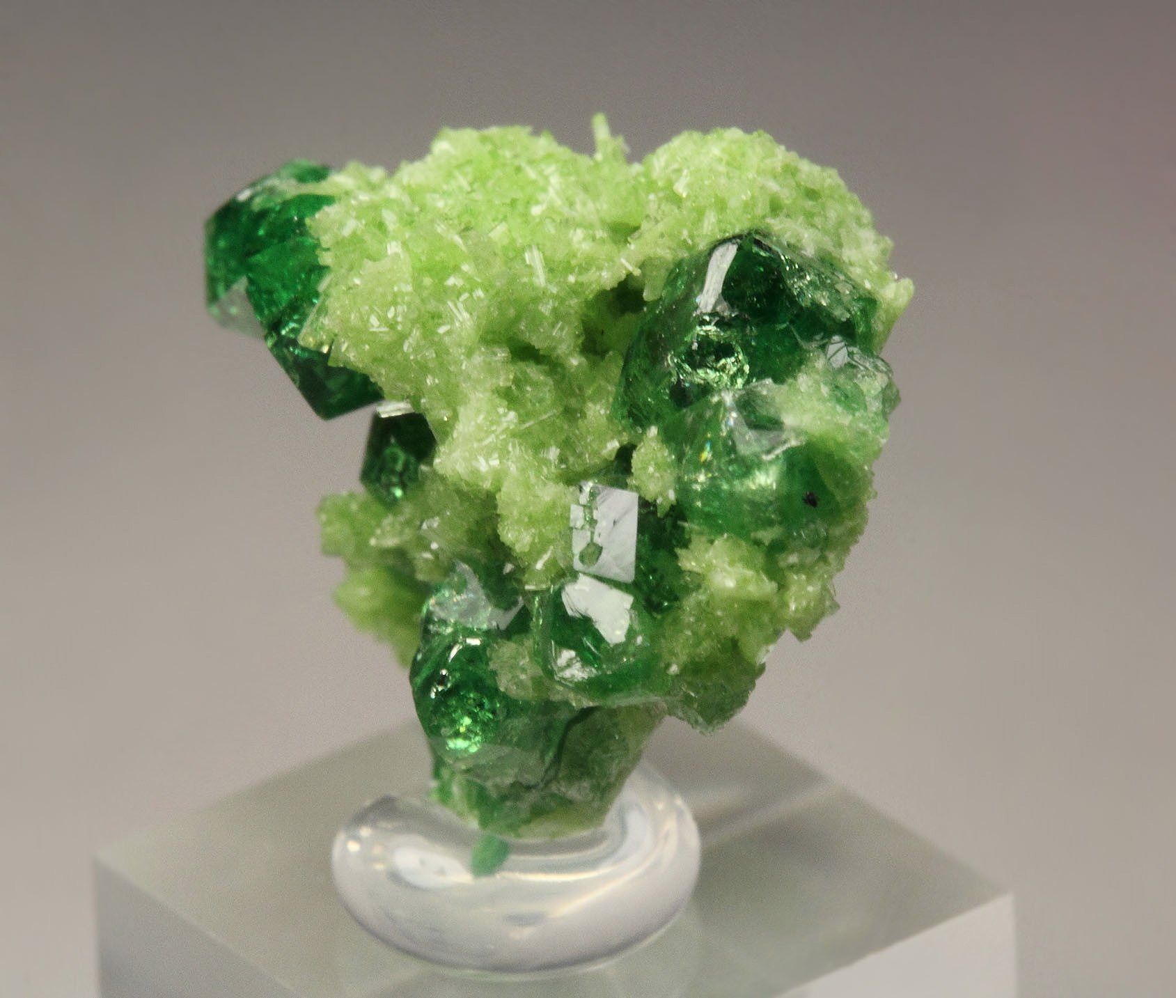 gem GARNET var. GROSSULAR var. CHROMIAN, DIOPSIDE