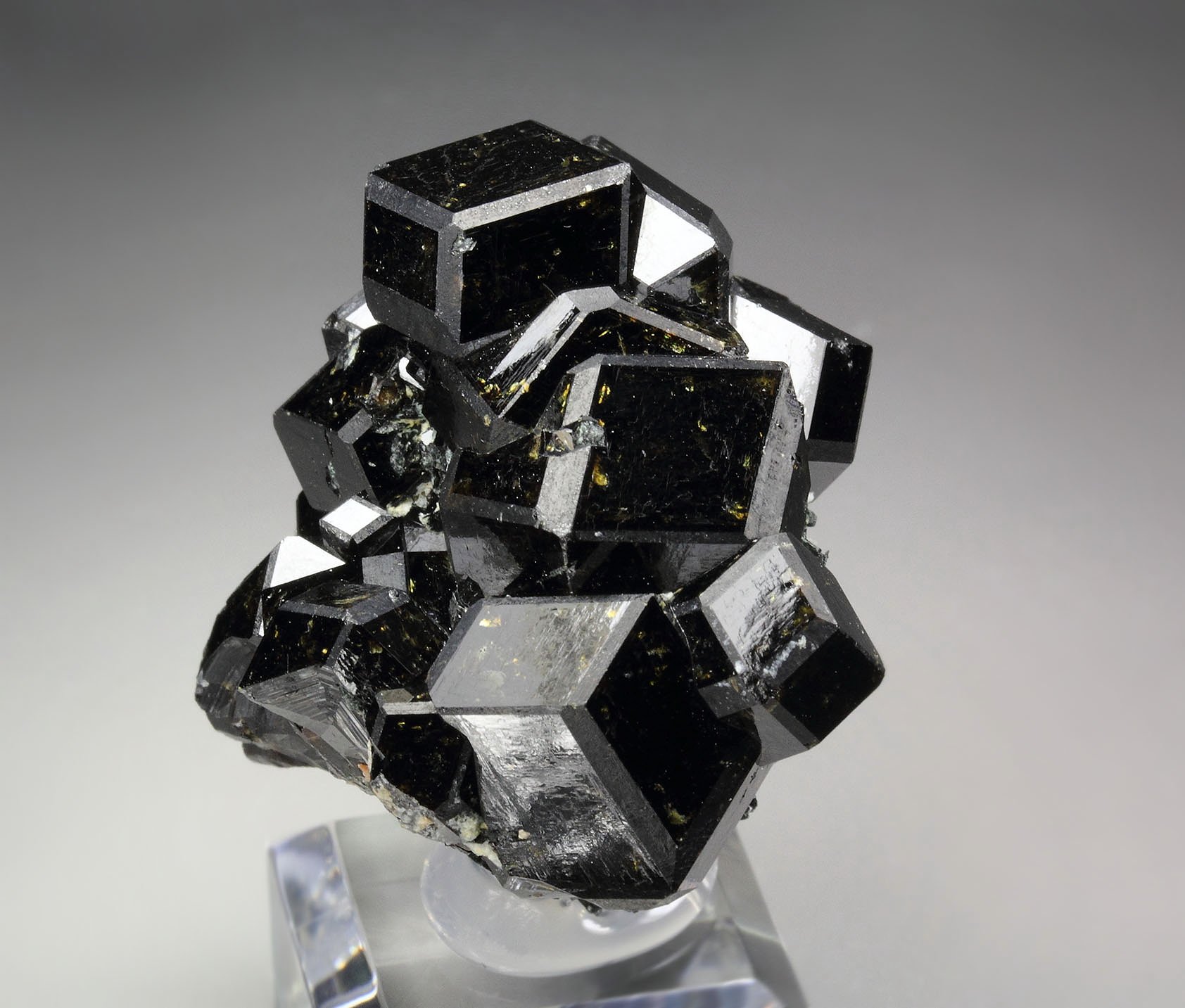 GARNET var. ANDRADITE var. MELANITE, PARGASITE