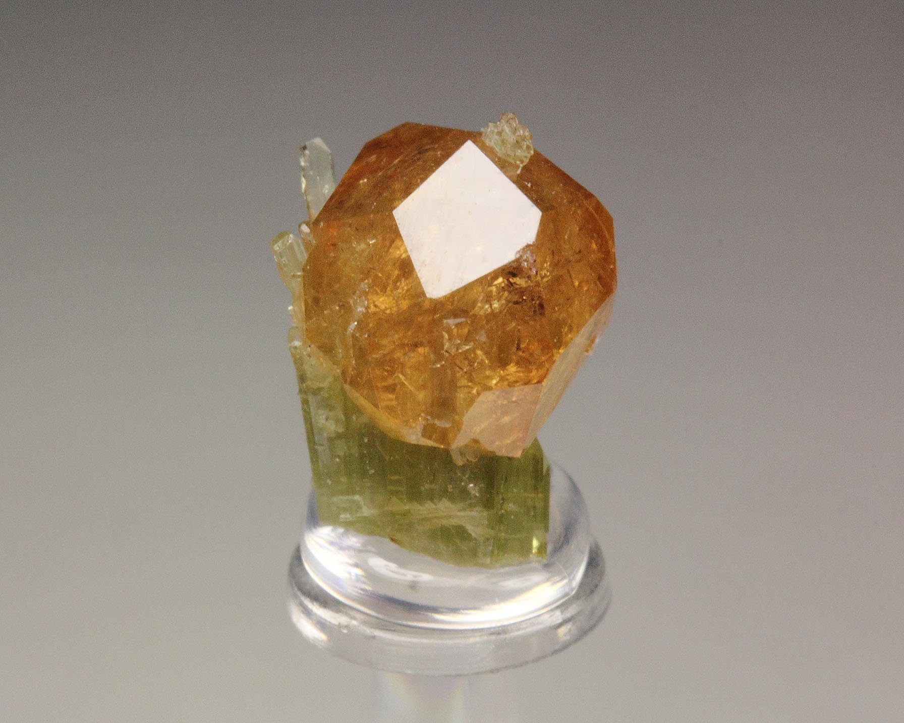 gem GARNET var. GROSSULAR, DIOPSIDE