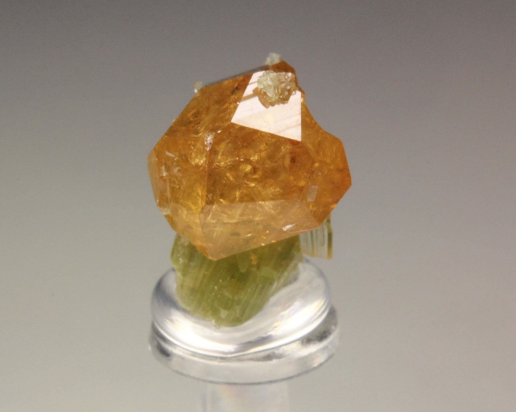 gem GARNET var. GROSSULAR, DIOPSIDE