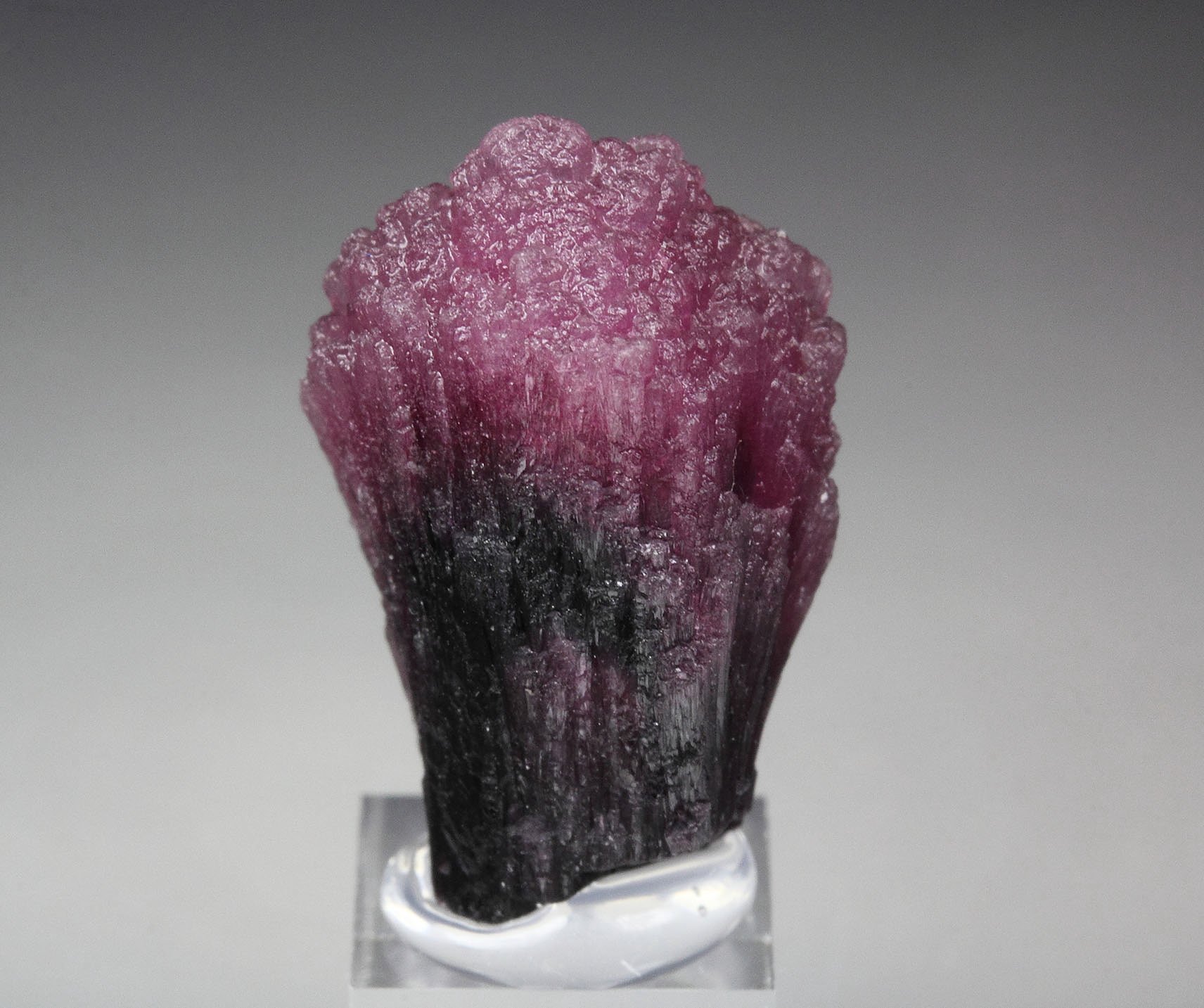 TOURMALINE var. RUBELLITE