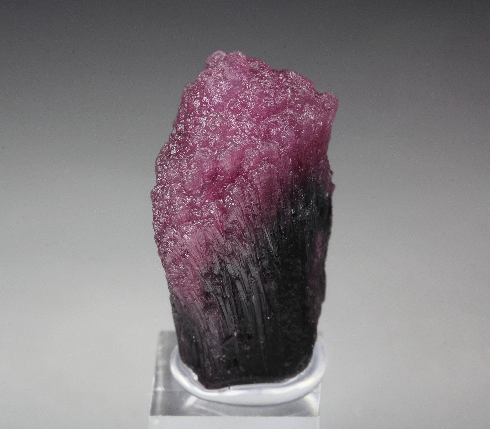 TOURMALINE var. RUBELLITE